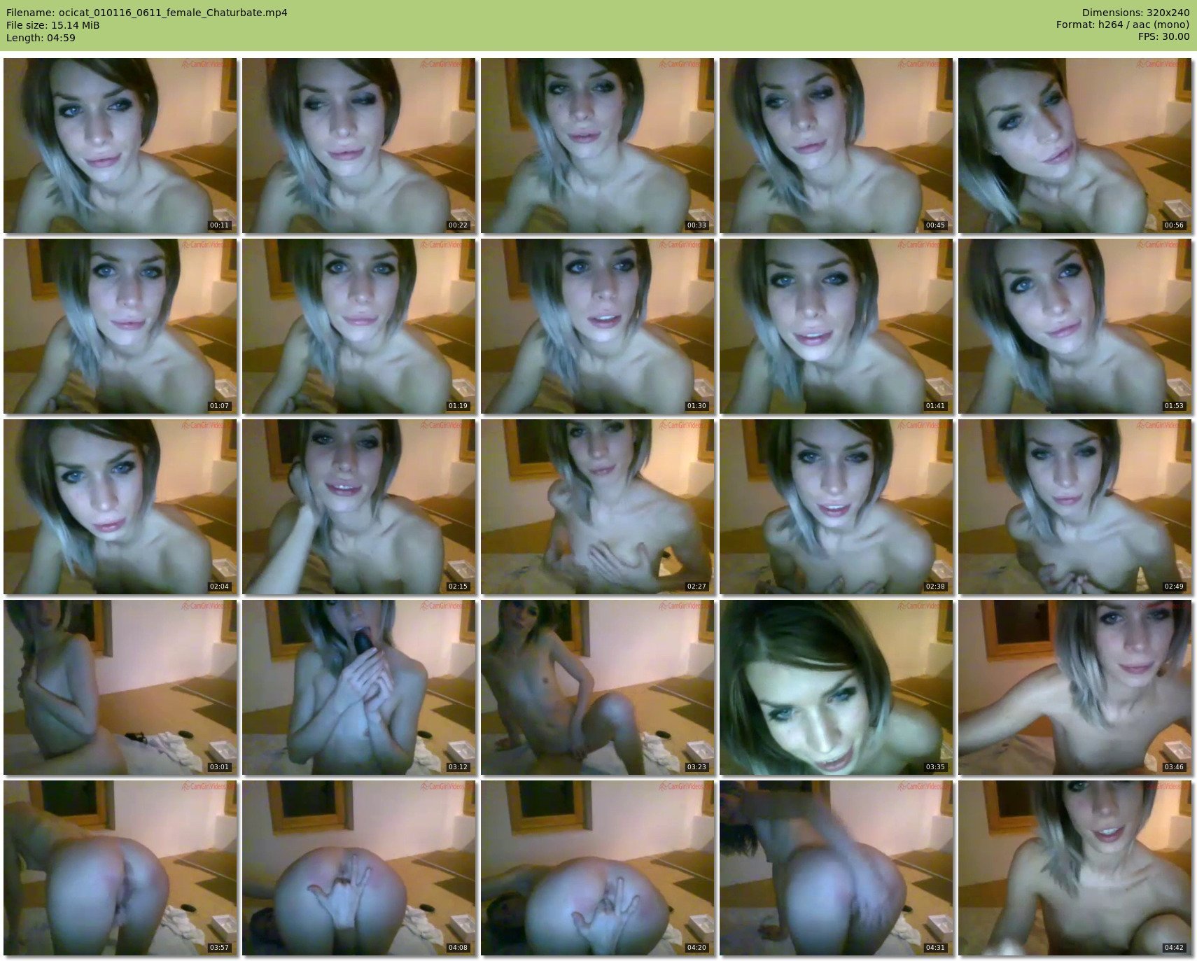 ocicat — 5 minute Chaturbate female cam show recording, SD, Jan 1, 2016