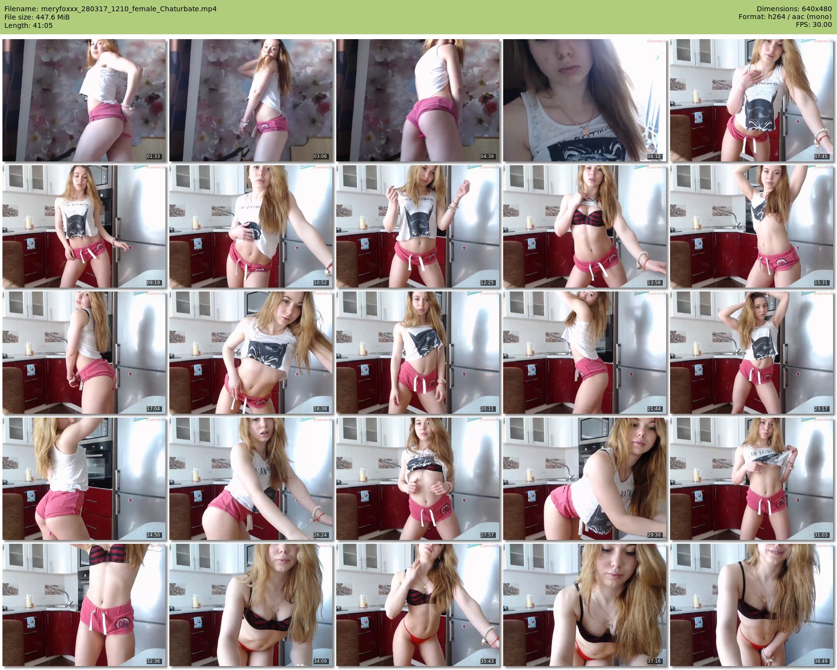 meryfoxxx — 42 minute Chaturbate female cam show recording, 480p, Mar 28, 2017