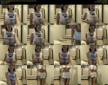 hugetittiesgerda — 11 minute Chaturbate female cam show recording, 480p, Nov 8, 2018