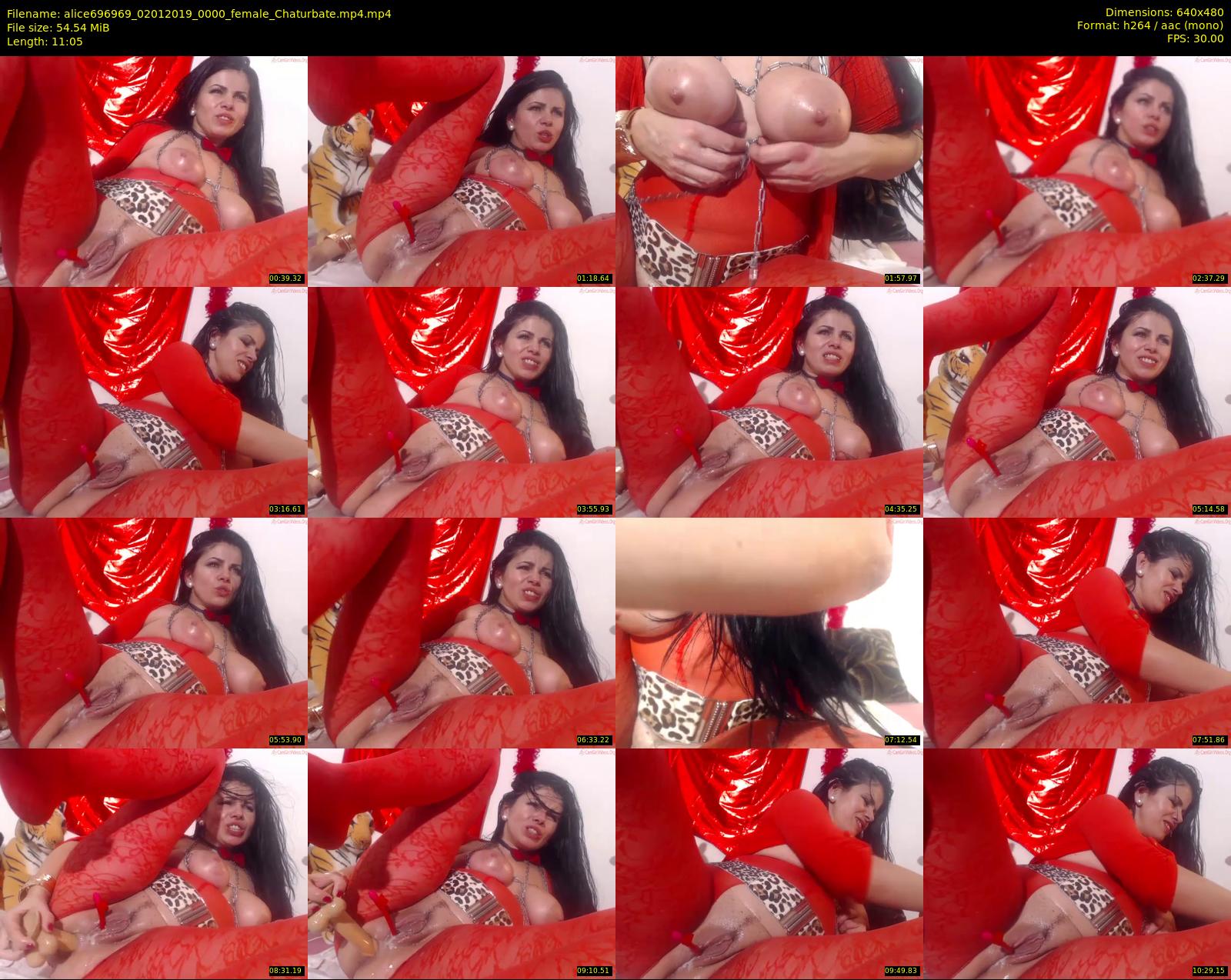 alice696969 — 12 minute Chaturbate female cam show recording, 480p, Jan 2, 2019