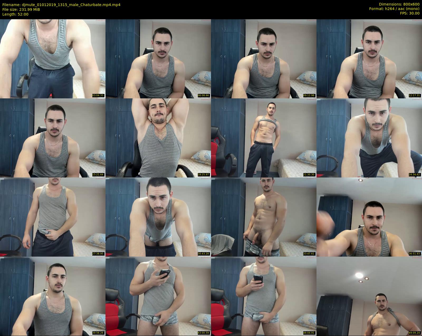 djmute — 52 minute Chaturbate male cam show recording, 480p, Jan 1, 2019