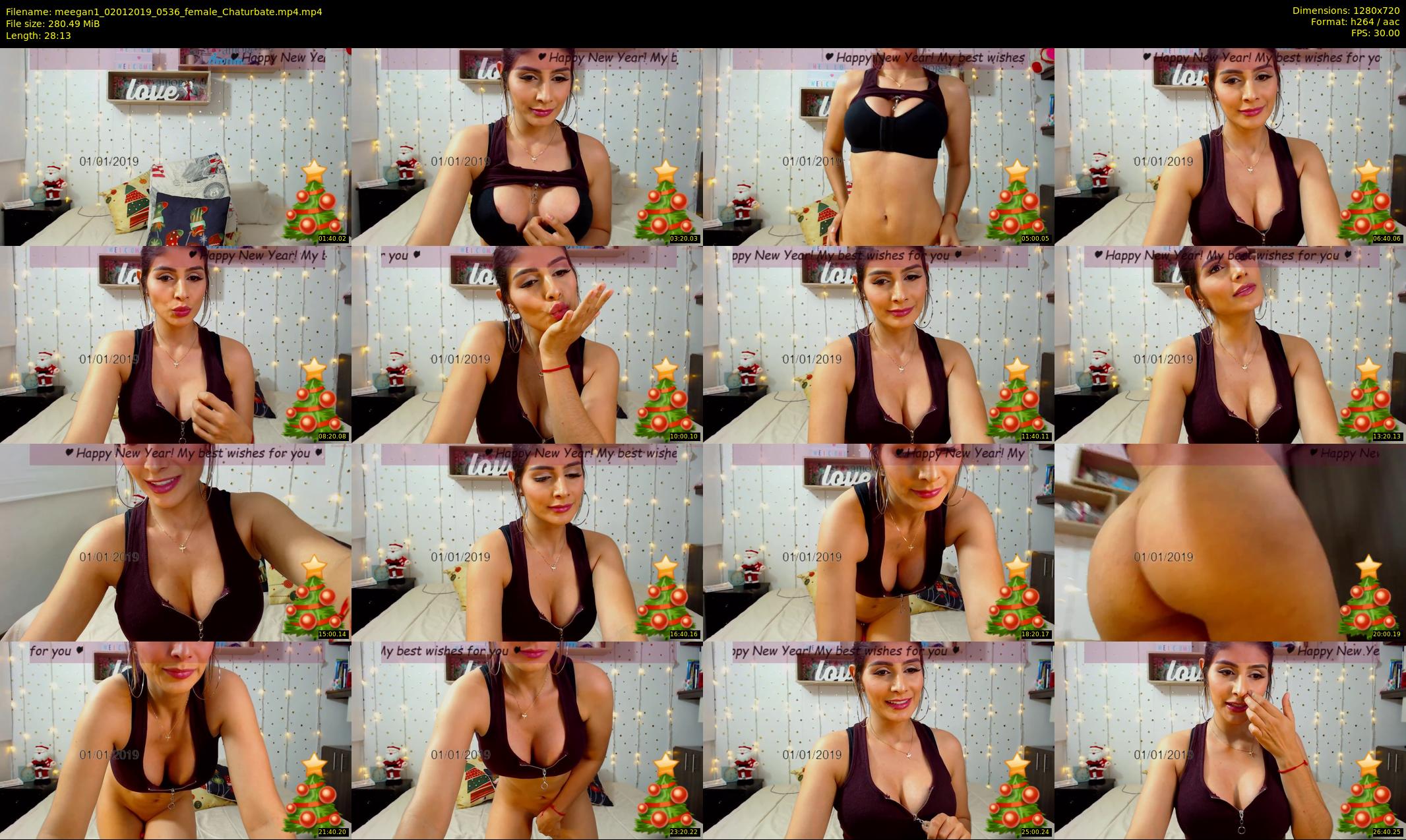 meegan1 — 29 minute Chaturbate female cam show recording, 720p, Jan 2, 2019