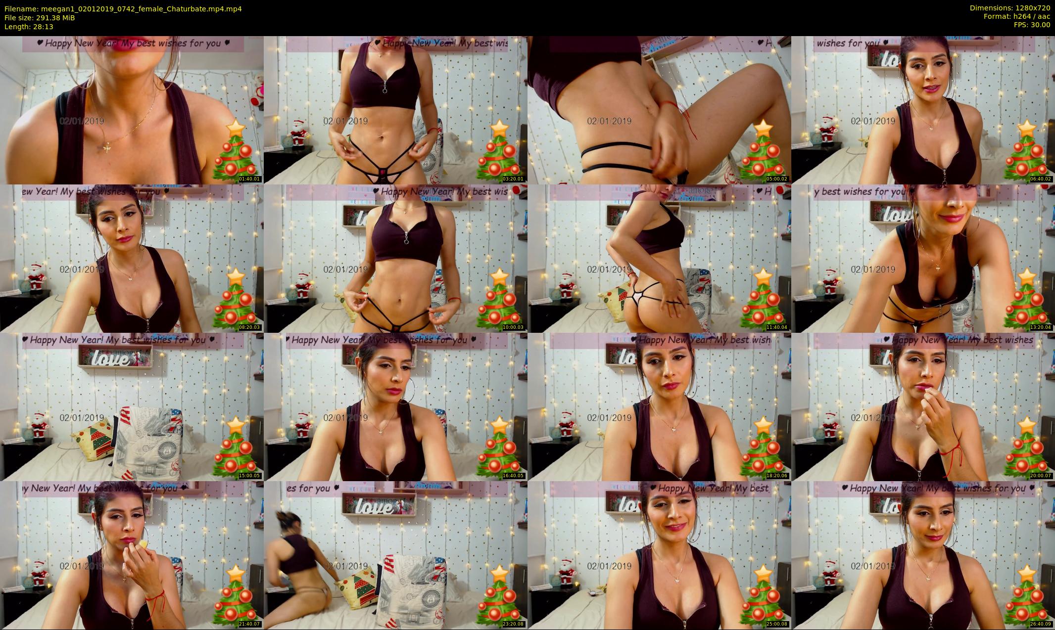 meegan1 — 29 minute Chaturbate female cam show recording, 720p, Jan 2, 2019