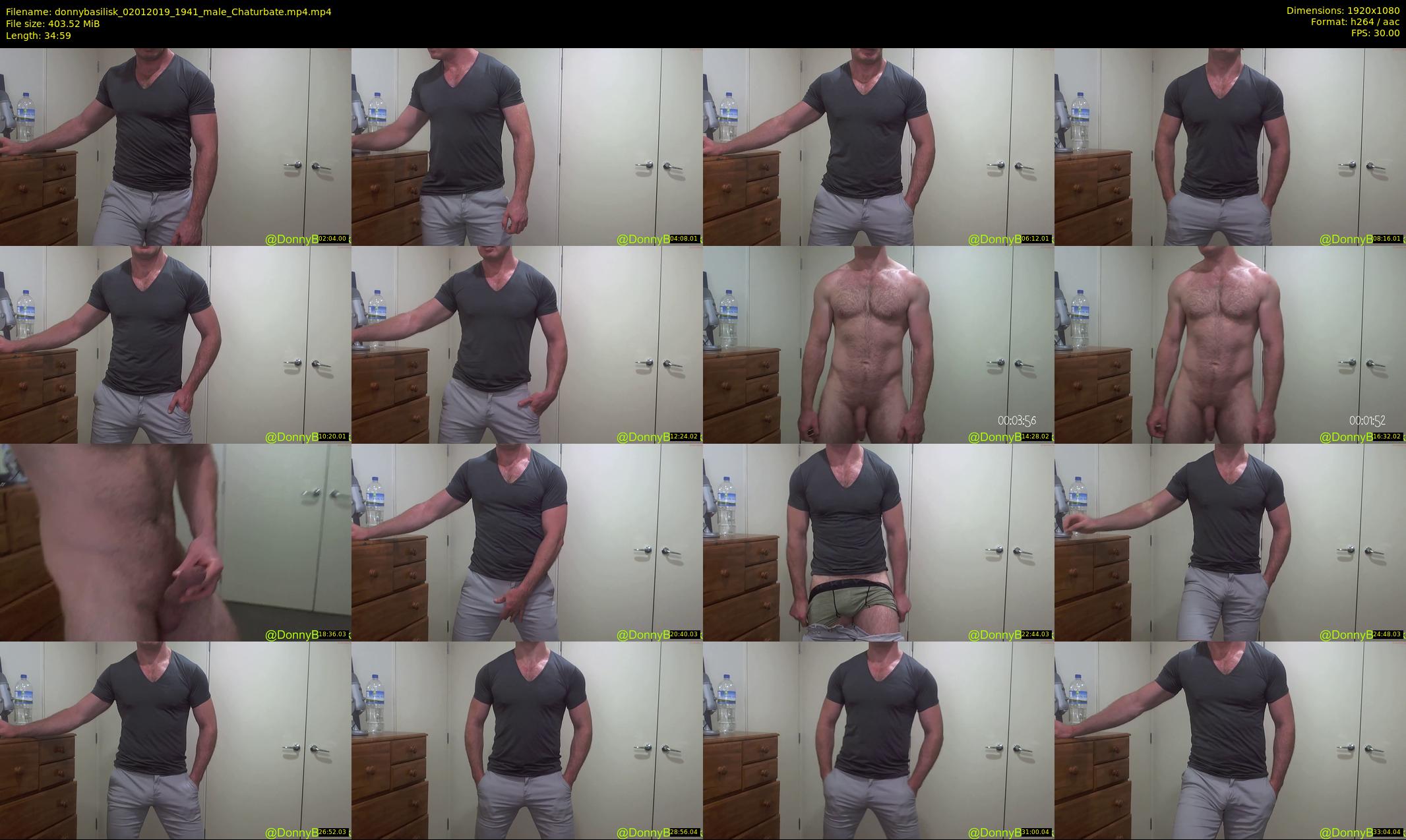 donnybasilisk — 35 minute Chaturbate male cam show recording, 1080p, Jan 2, 2019