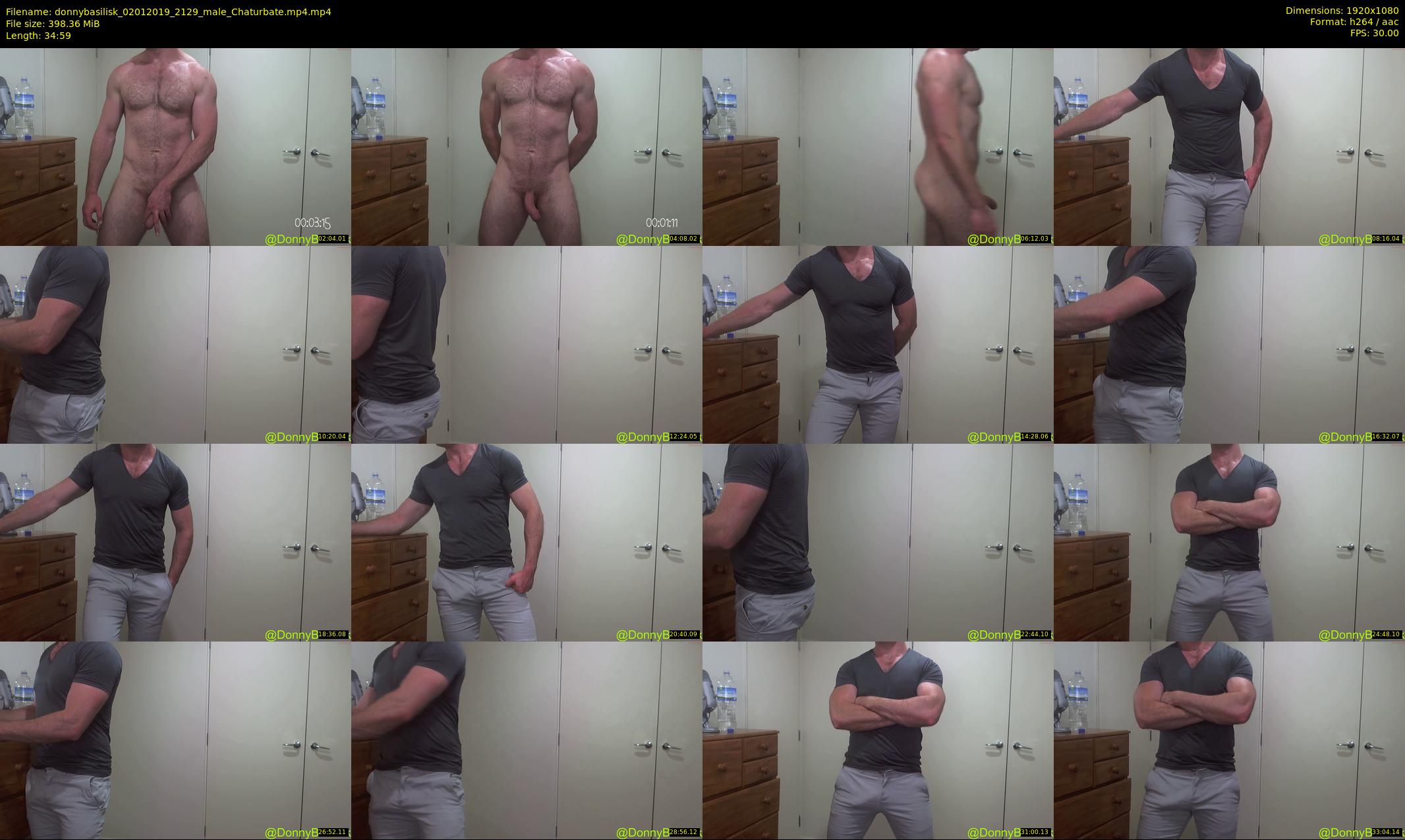 donnybasilisk — 35 minute Chaturbate male cam show recording, 1080p, Jan 2, 2019