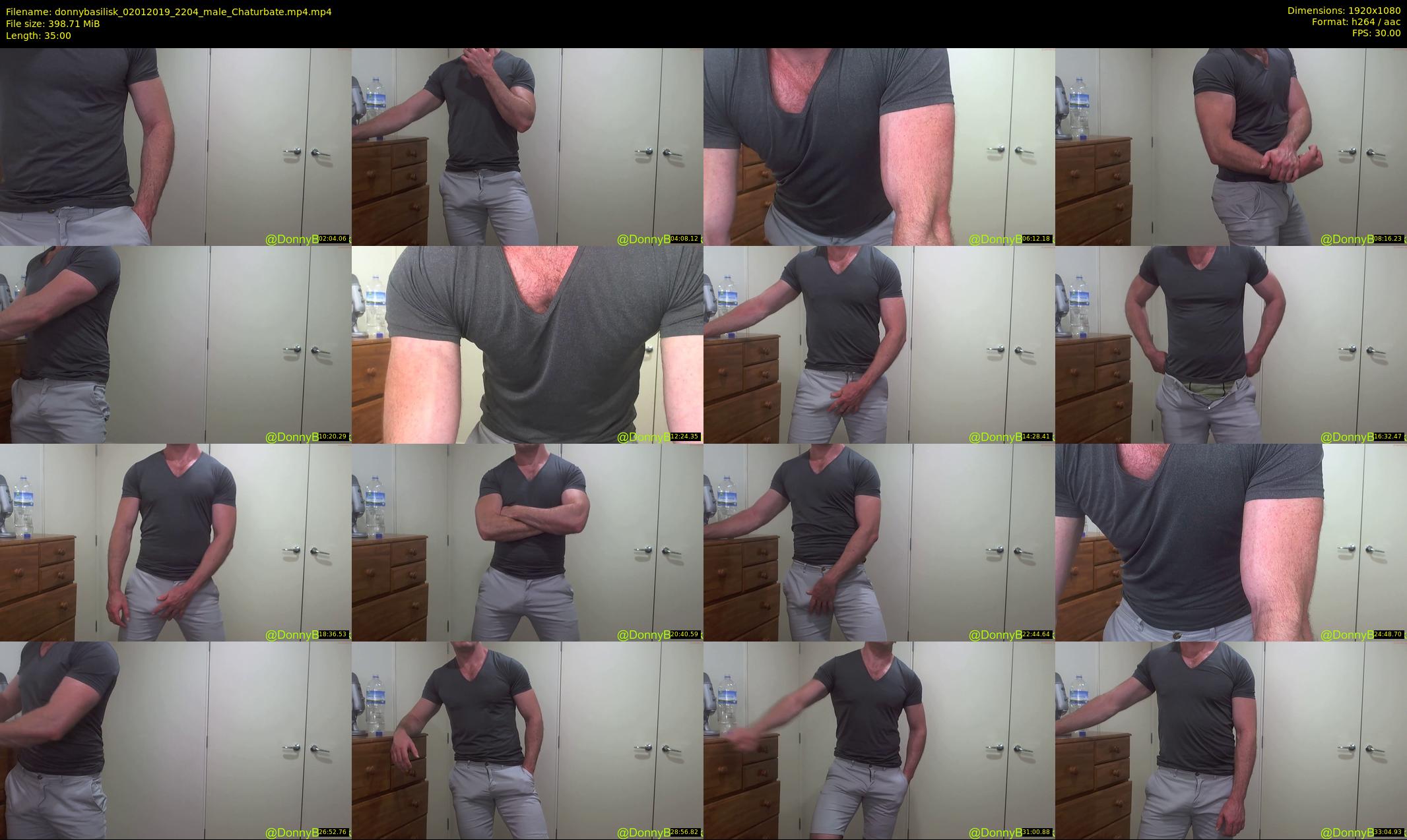 donnybasilisk — 35 minute Chaturbate male cam show recording, 1080p, Jan 2, 2019