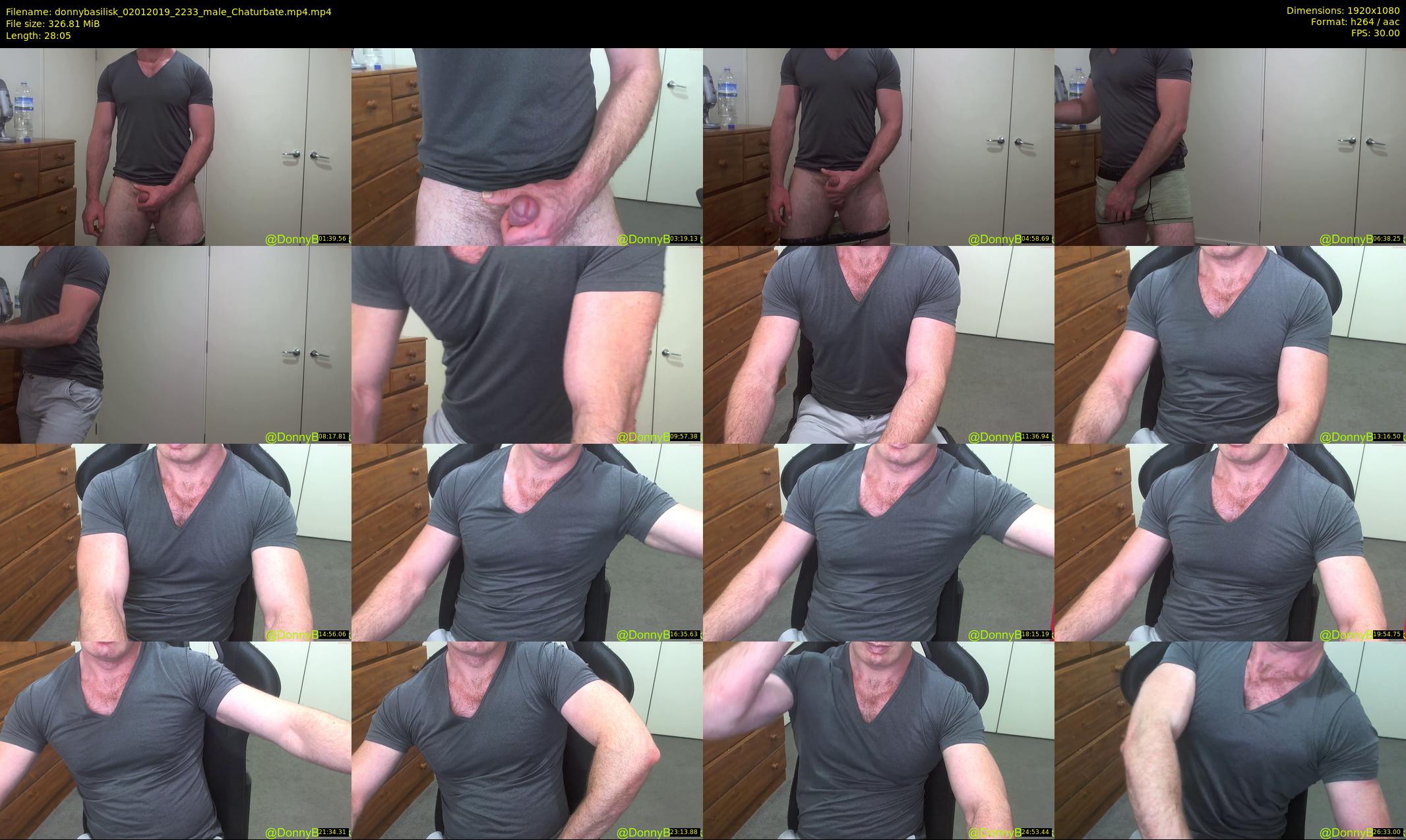 donnybasilisk — 29 minute Chaturbate male cam show recording, 1080p, Jan 2, 2019