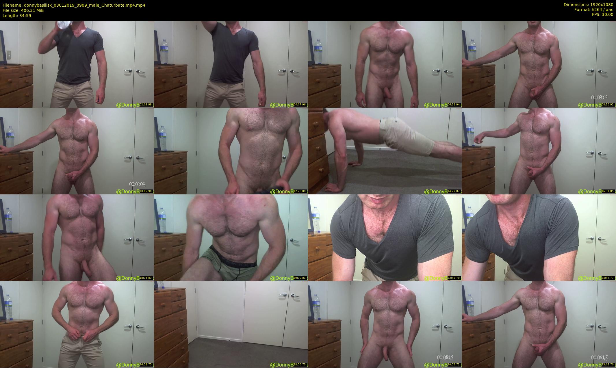 donnybasilisk — 35 minute Chaturbate male cam show recording, 1080p, Jan 3, 2019