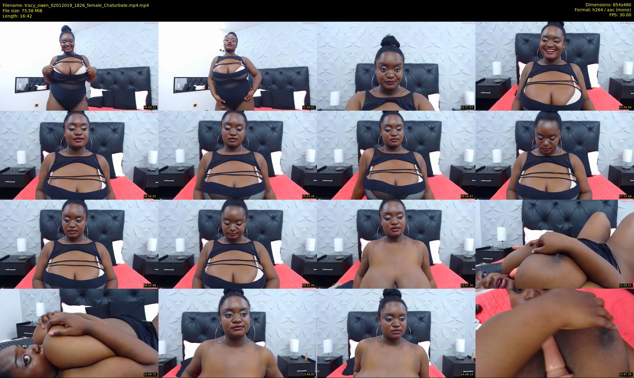 tracy_owen — 17 minute Chaturbate female cam show recording, 480p, Jan 2, 2019
