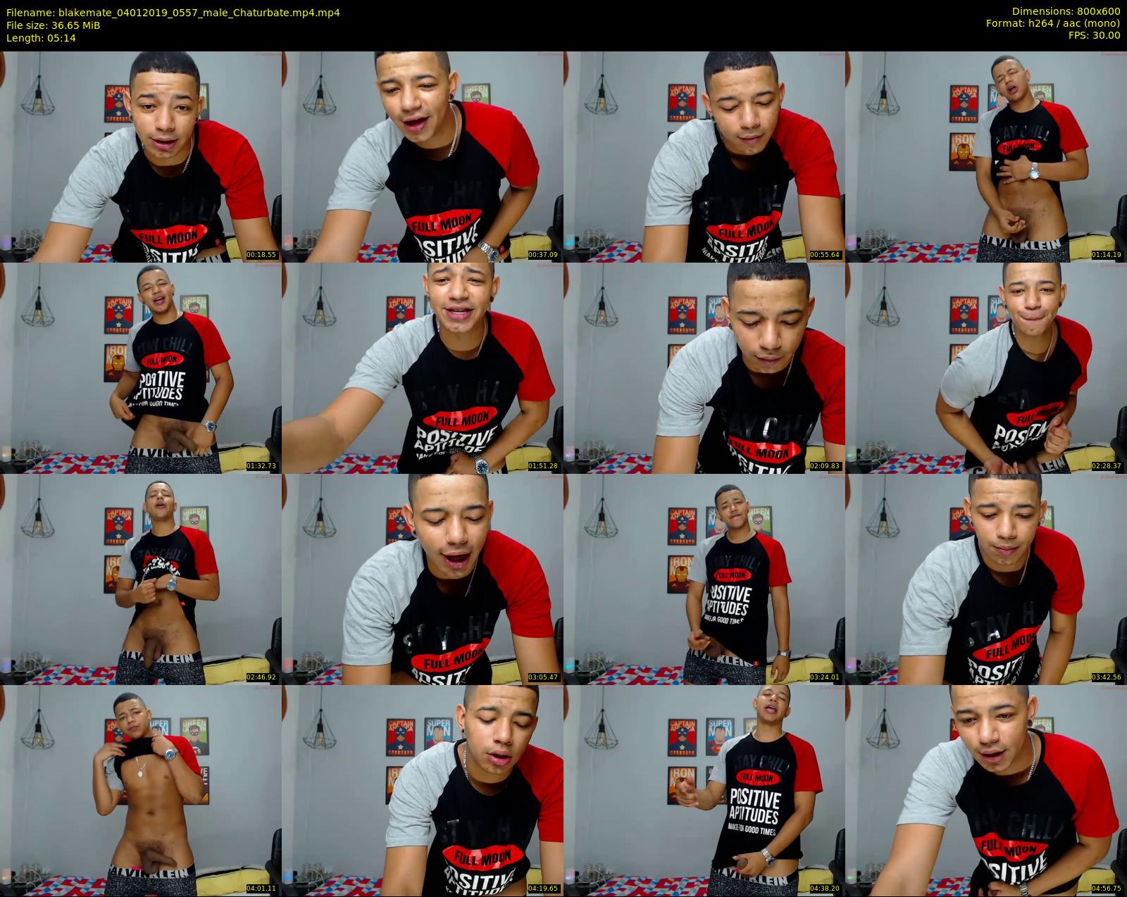 blakemate — 6 minute Chaturbate male cam show recording, 480p, Jan 4, 2019