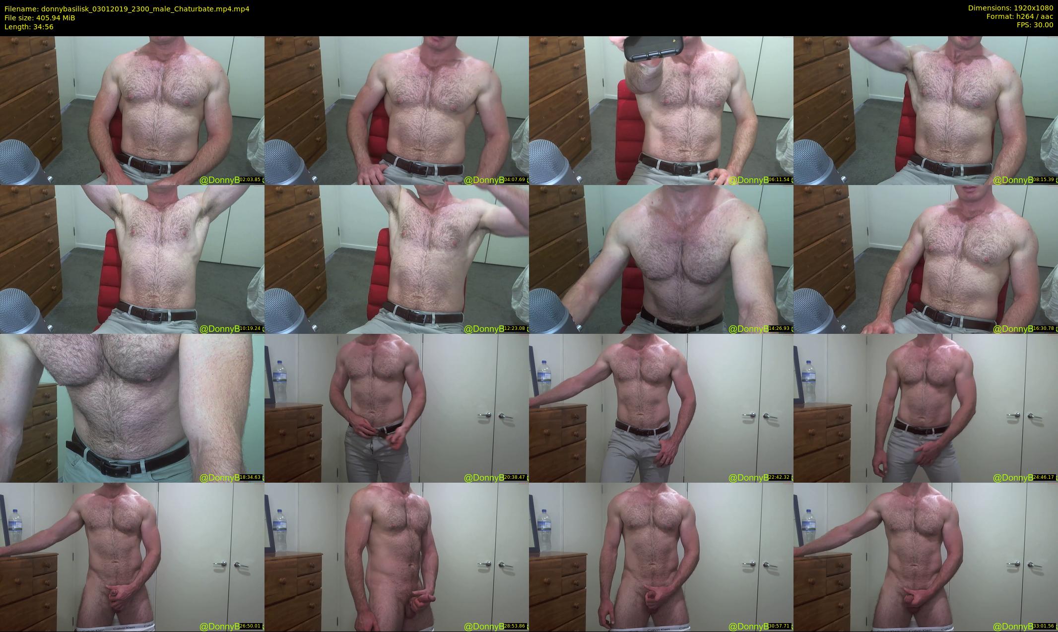 donnybasilisk — 35 minute Chaturbate male cam show recording, 1080p, Jan 3, 2019