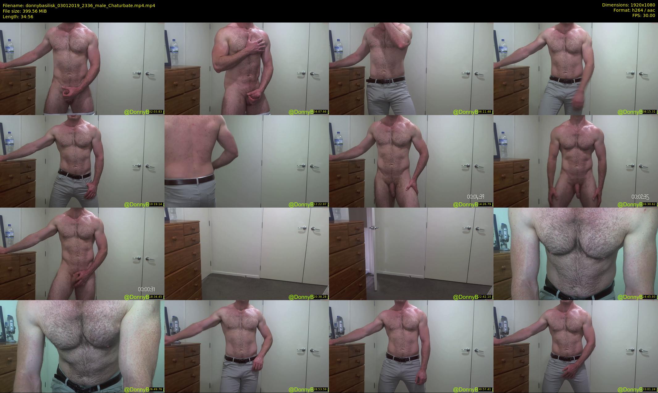 donnybasilisk — 35 minute Chaturbate male cam show recording, 1080p, Jan 3, 2019