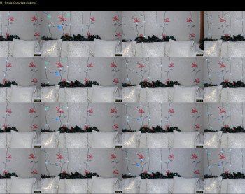 love_tolove — 18 minute Chaturbate couple cam show recording, 1080p, Jan 5, 2019