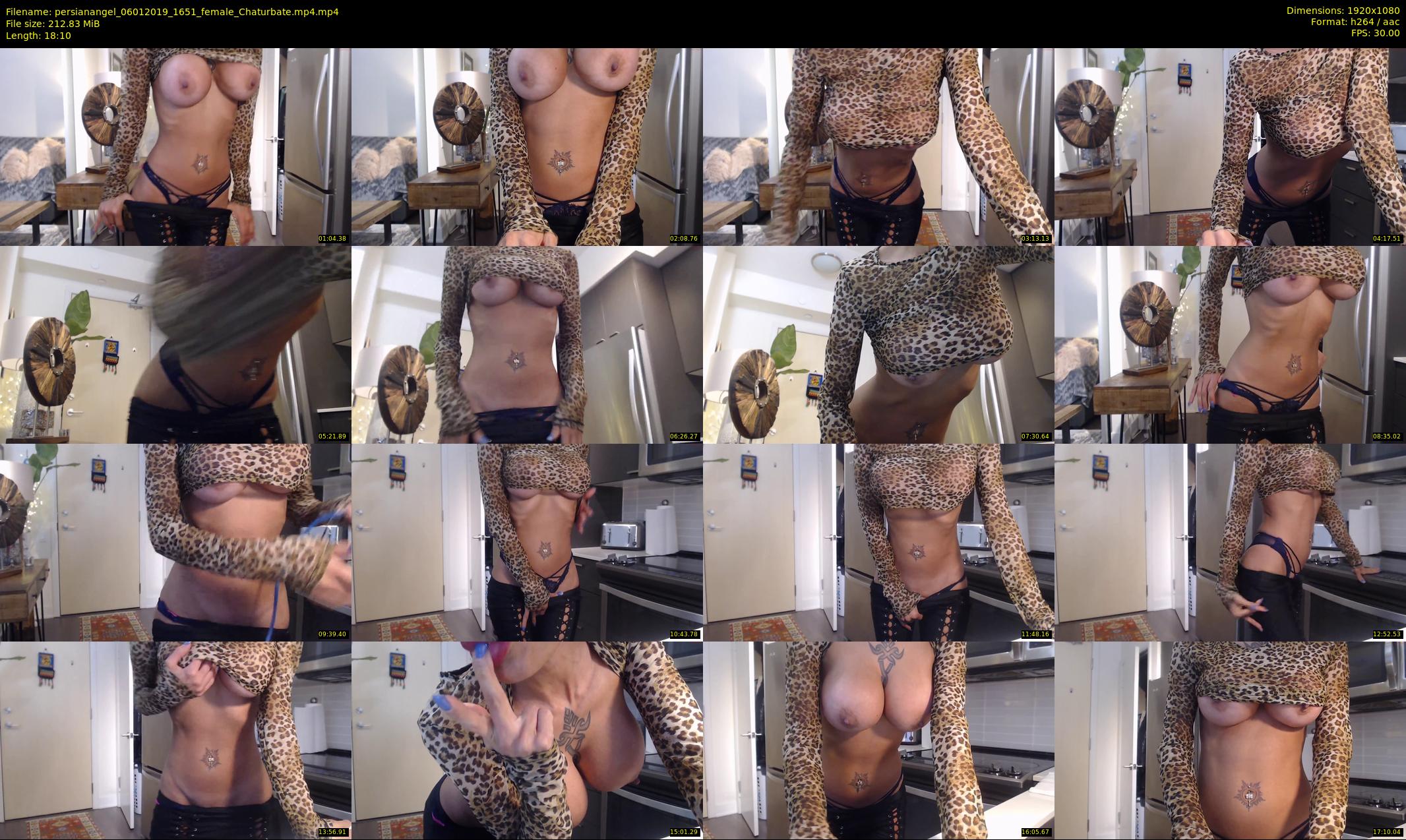 persianangel — 19 minute Chaturbate female cam show recording, 1080p, Jan 6, 2019