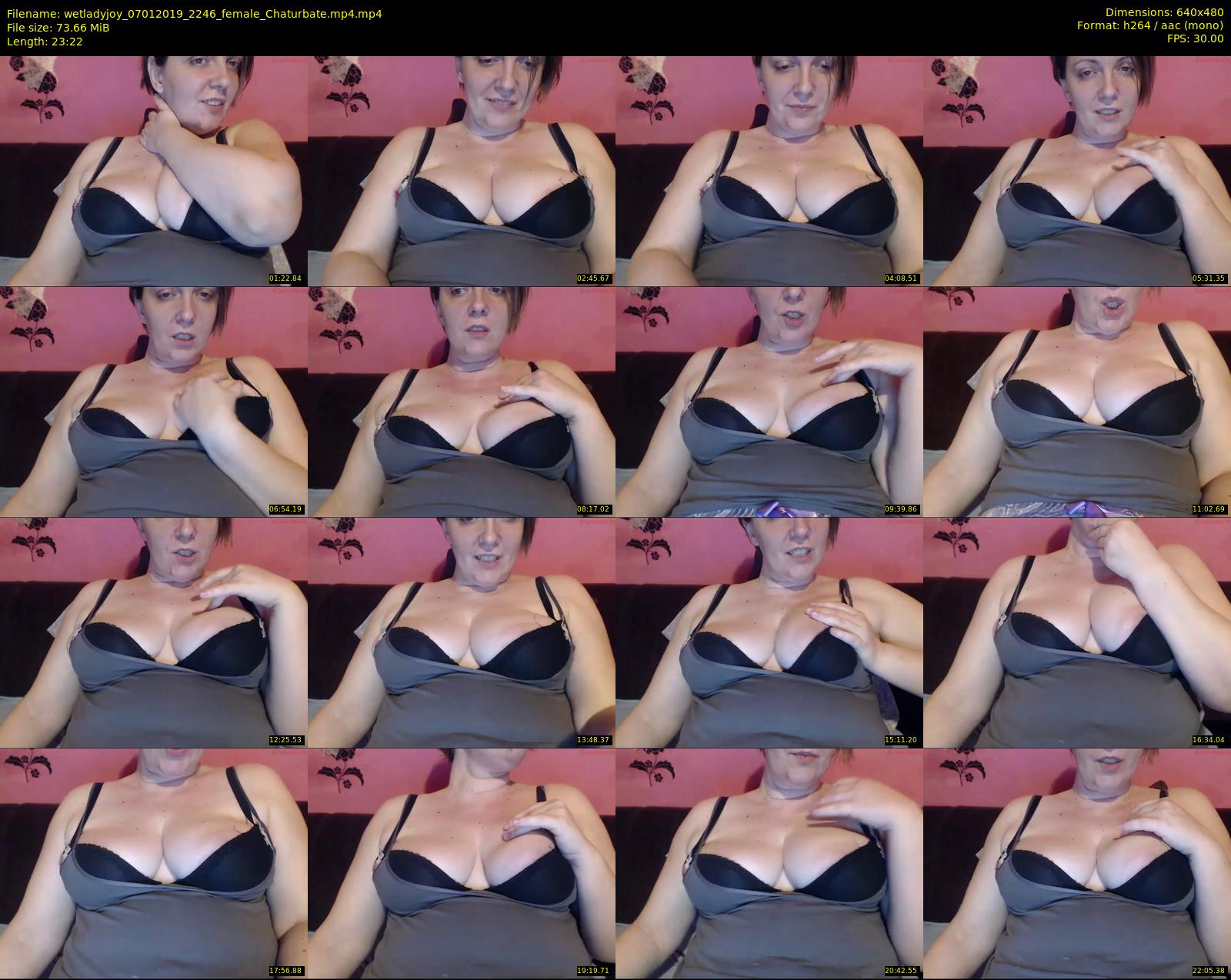 wetladyjoy — 24 minute Chaturbate female cam show recording, 480p, Jan 7, 2019