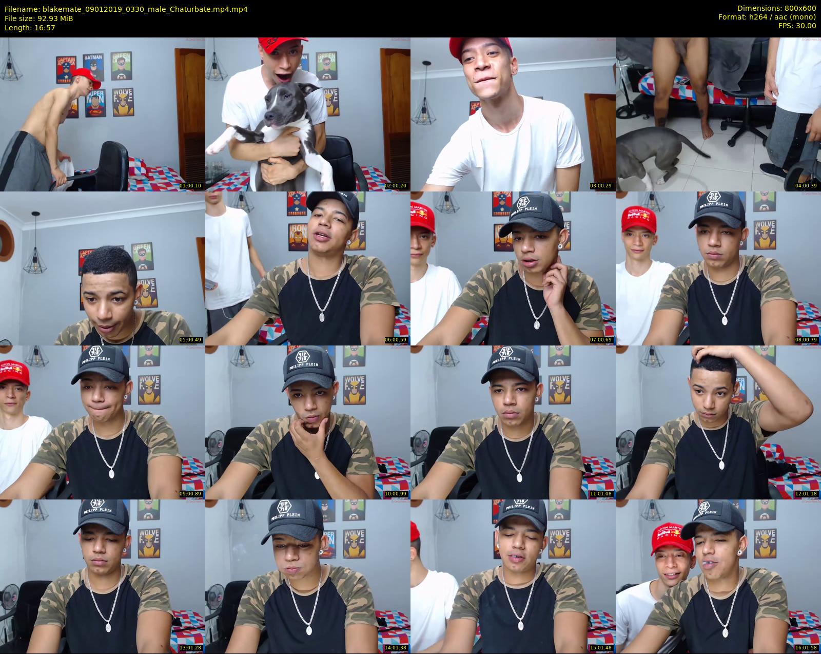 blakemate — 17 minute Chaturbate male cam show recording, 480p, Jan 9, 2019