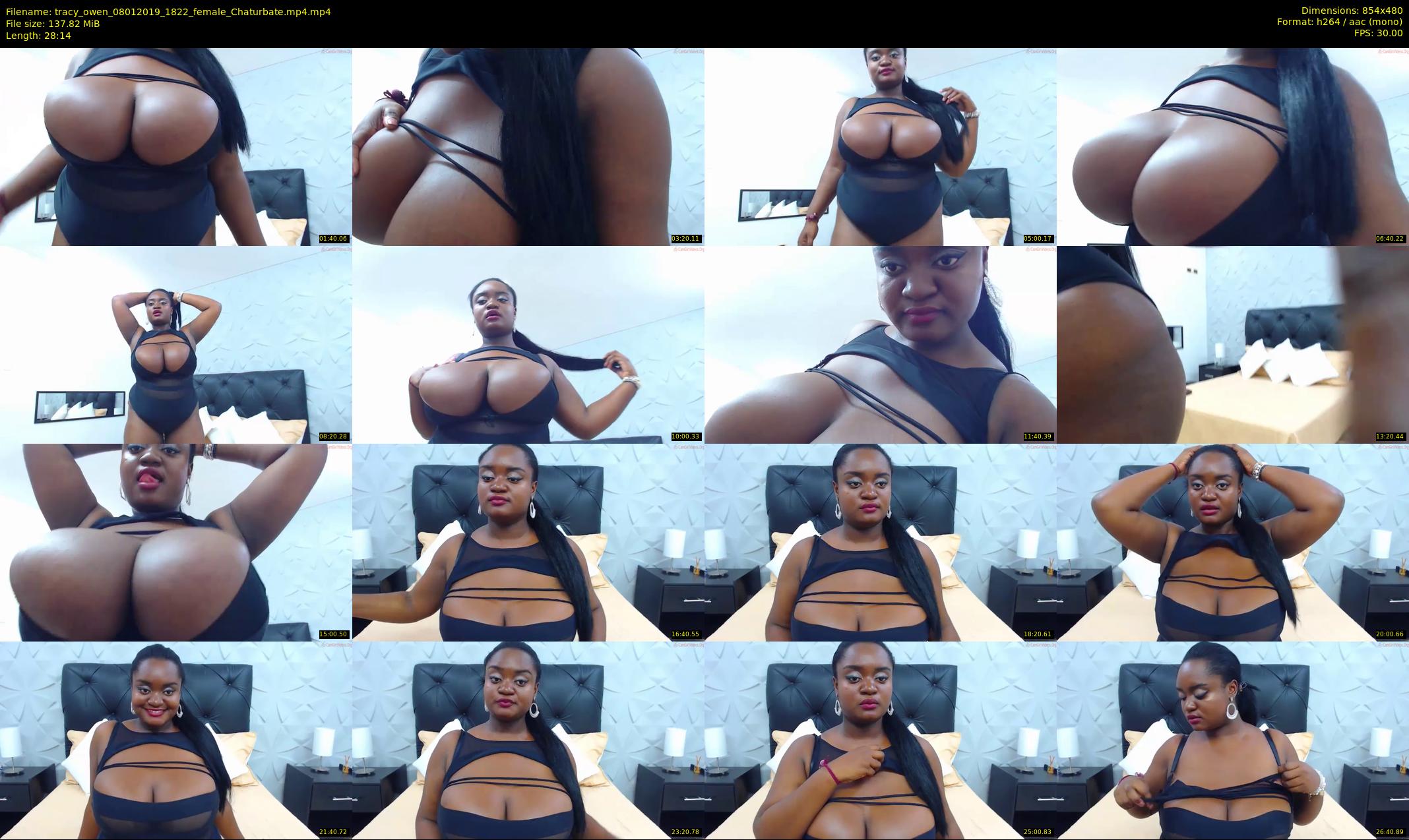 tracy_owen — 29 minute Chaturbate female cam show recording, 480p, Jan 8, 2019