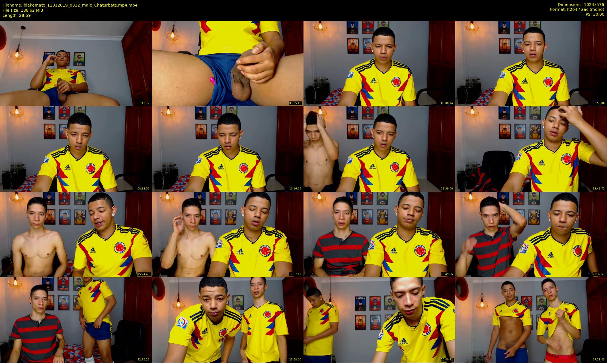 blakemate — 29 minute Chaturbate male cam show recording, 480p, Jan 11, 2019