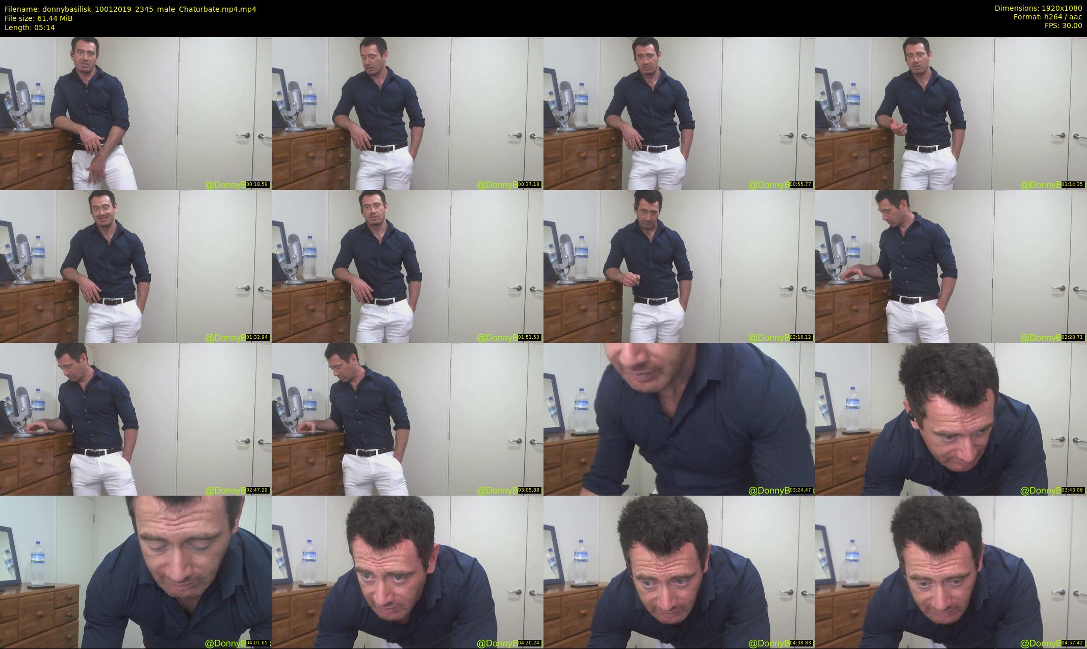 donnybasilisk — 6 minute Chaturbate male cam show recording, 1080p, Jan 10, 2019