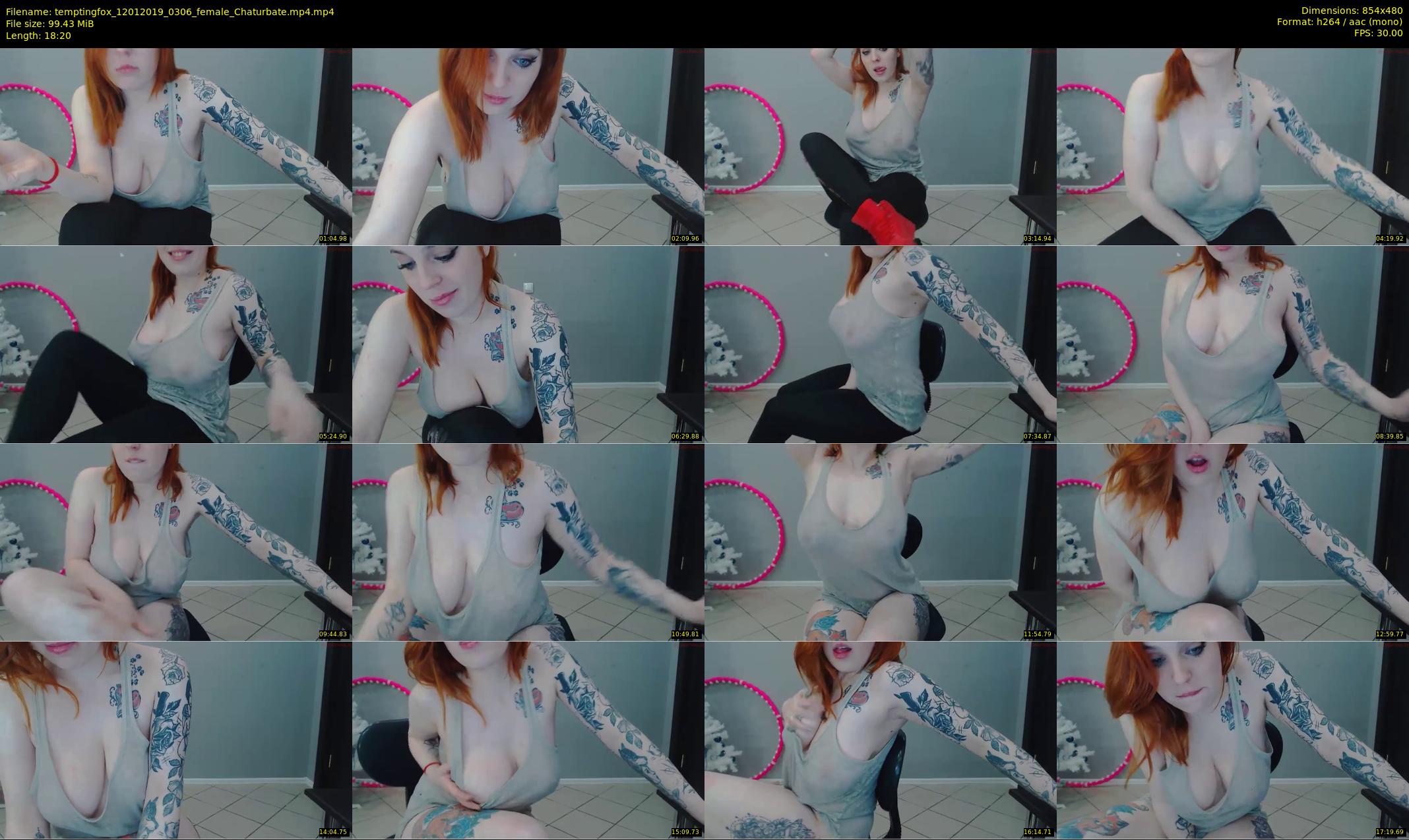 temptingfox — 19 minute Chaturbate female cam show recording, 480p, Jan 12, 2019