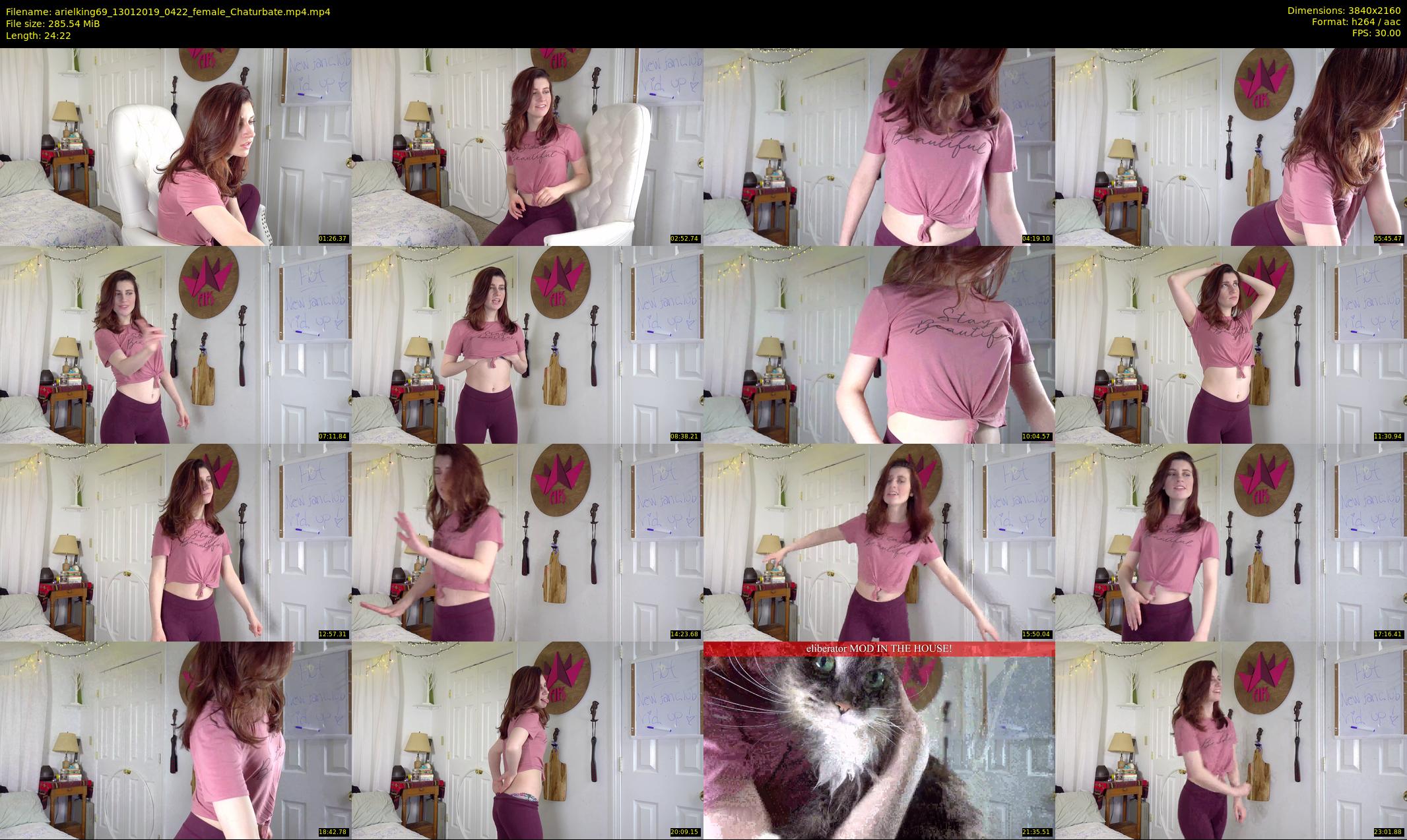 arielking69 — 25 minute Chaturbate female cam show recording, 4K, Jan 13, 2019