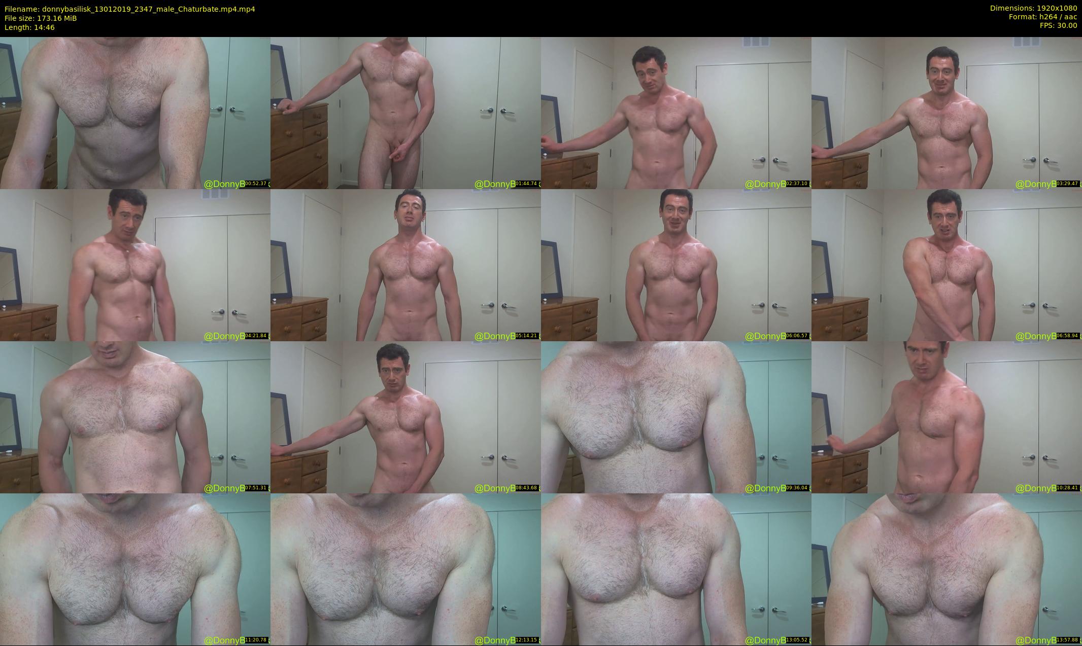 donnybasilisk — 15 minute Chaturbate male cam show recording, 1080p, Jan 13, 2019