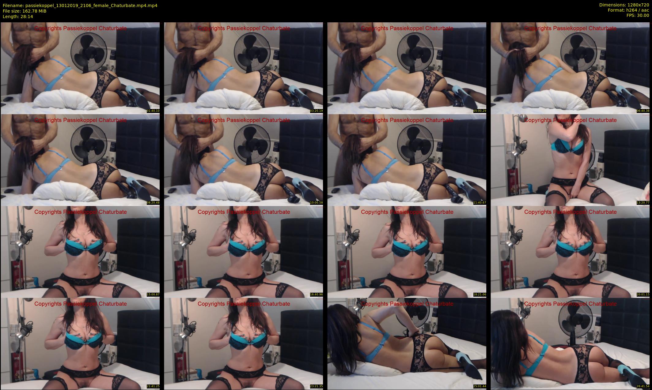 passiekoppel — 29 minute Chaturbate couple cam show recording, 720p, Jan 13, 2019