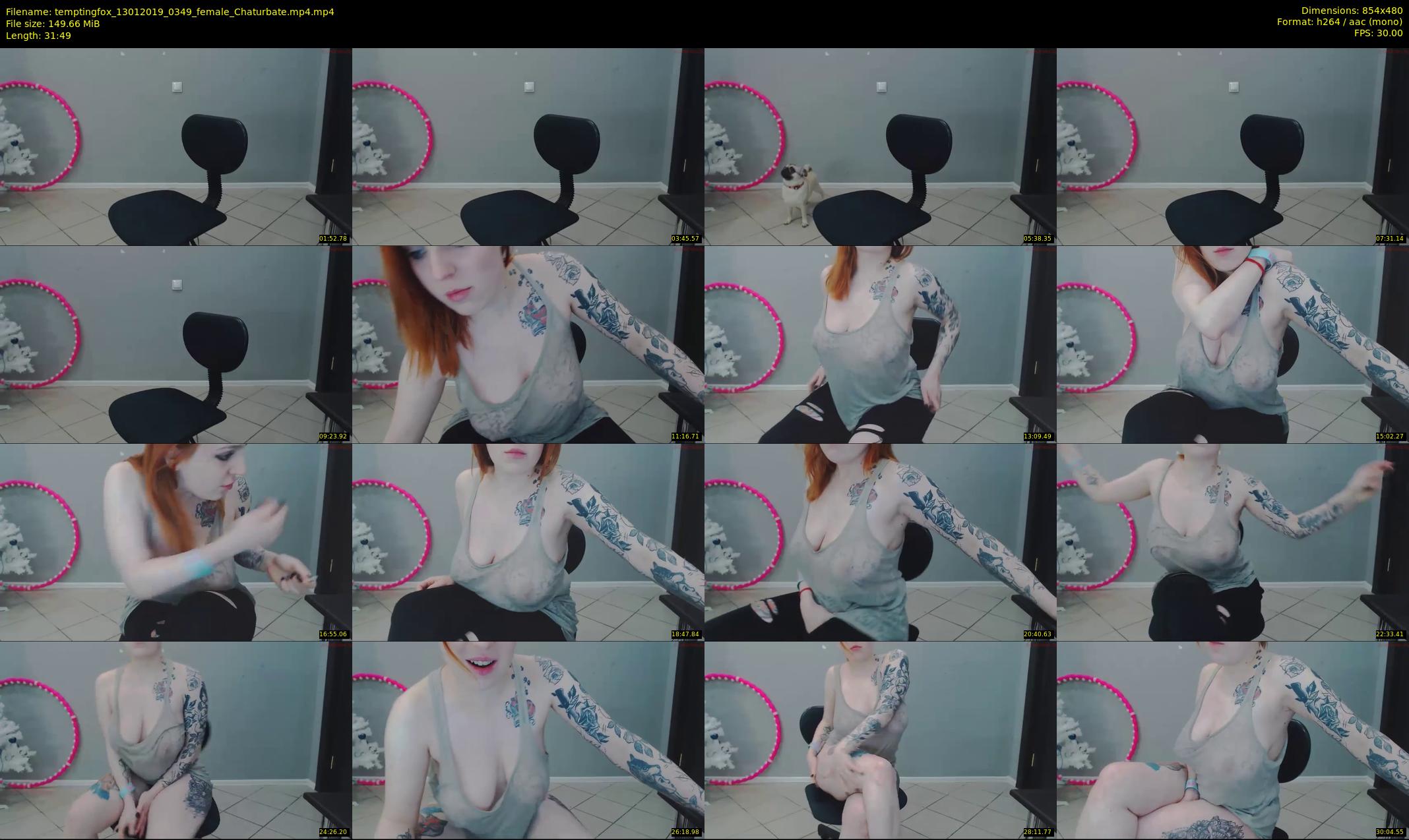 temptingfox — 32 minute Chaturbate female cam show recording, 480p, Jan 13, 2019