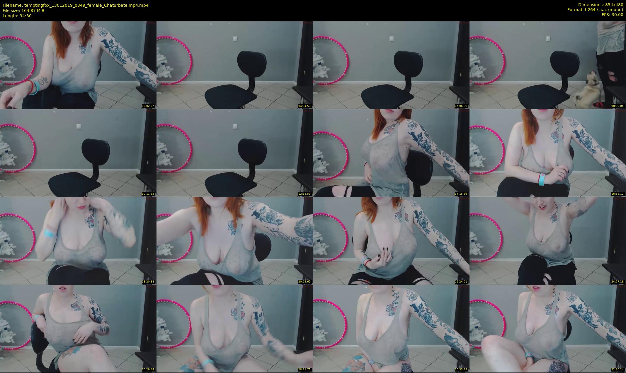 temptingfox — 35 minute Chaturbate female cam show recording, 480p, Jan 13, 2019
