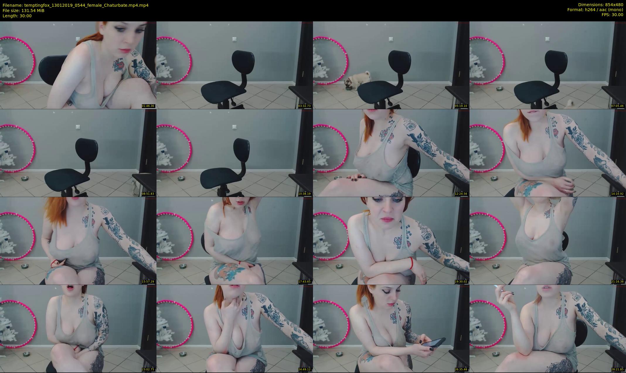 temptingfox — 30 minute Chaturbate female cam show recording, 480p, Jan 13, 2019