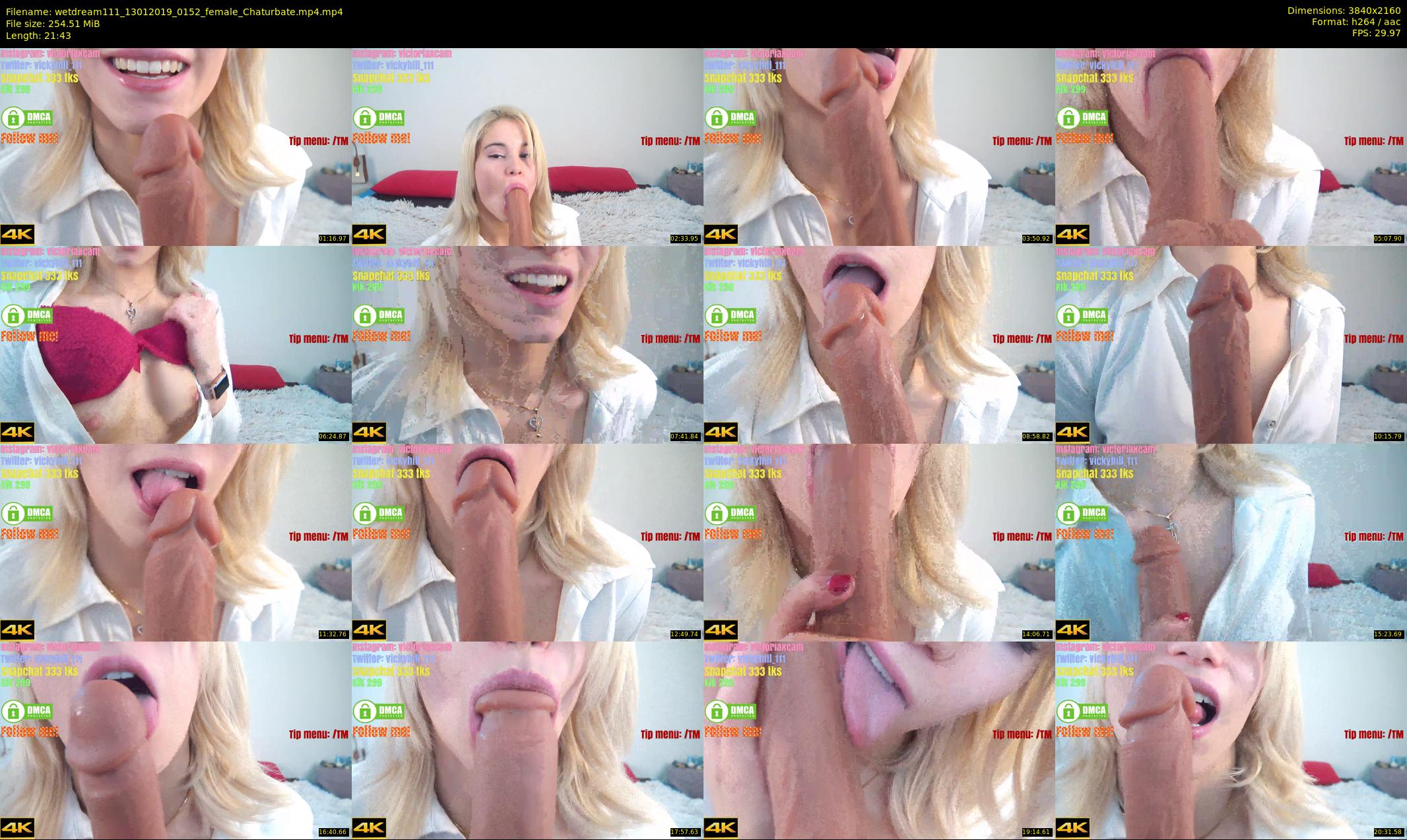 wetdream111 — 22 minute Chaturbate couple cam show recording, 4K, Jan 13, 2019