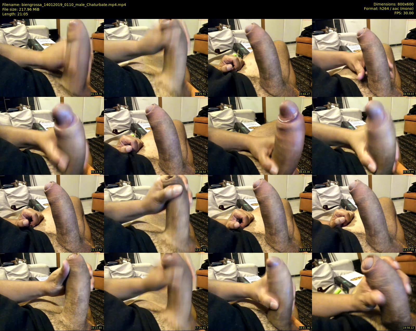biengrossa — 22 minute Chaturbate male cam show recording, 480p, Jan 14, 2019