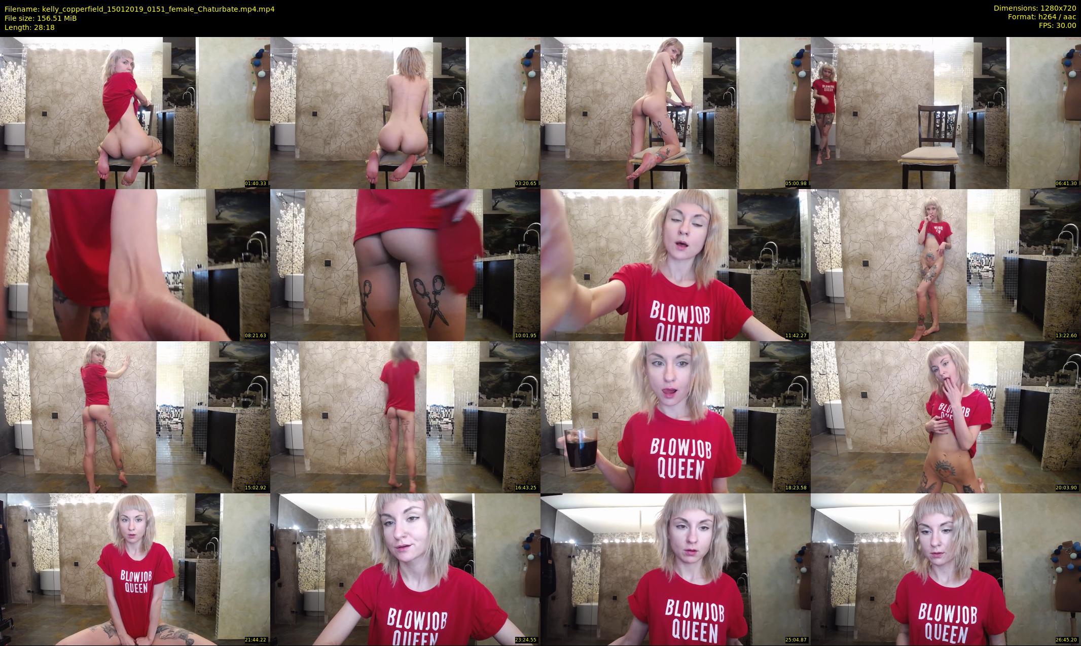 kelly_copperfield — 29 minute Chaturbate female cam show recording, 720p, Jan 15, 2019