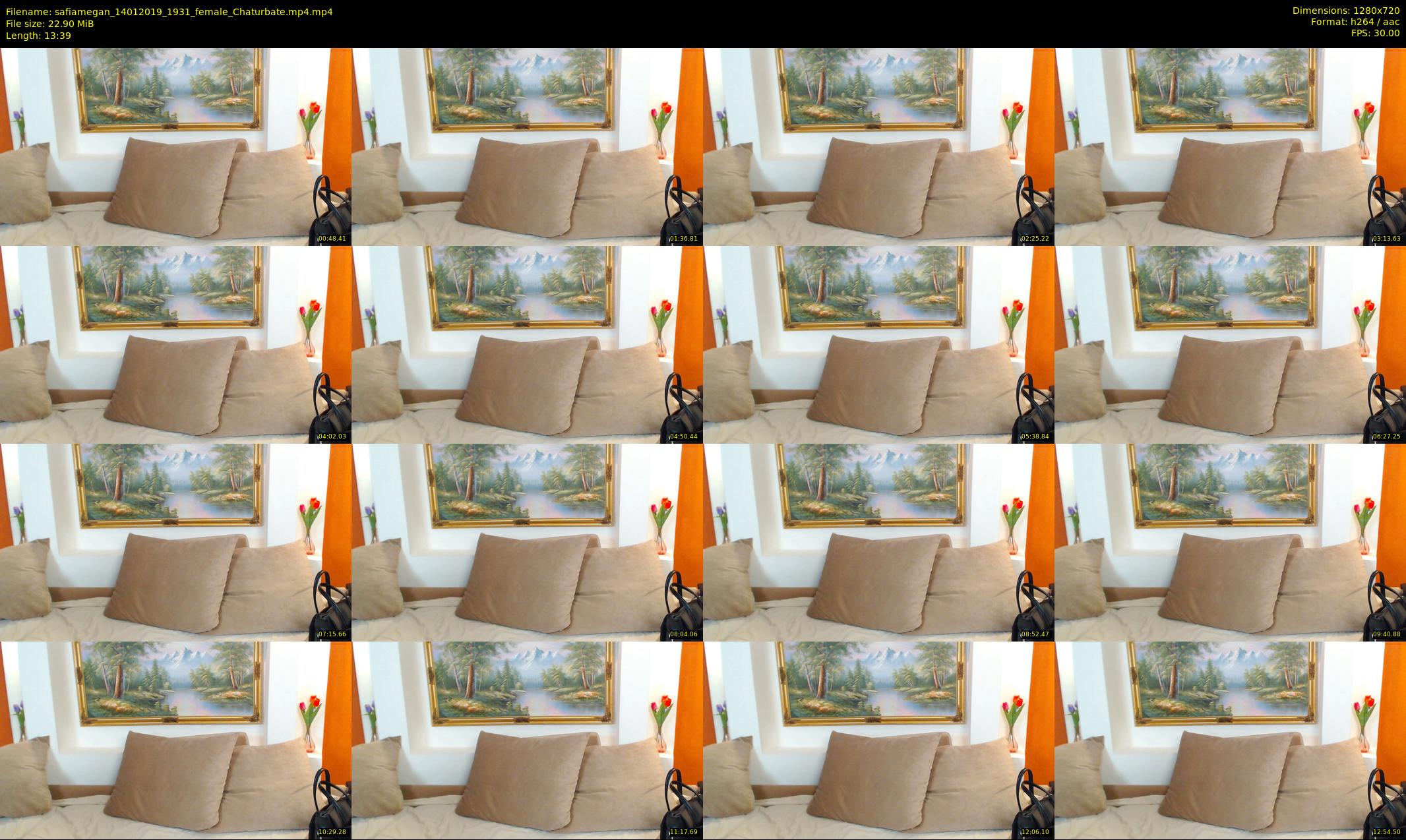 safiamegan — 14 minute Chaturbate couple cam show recording, 720p, Jan 14, 2019