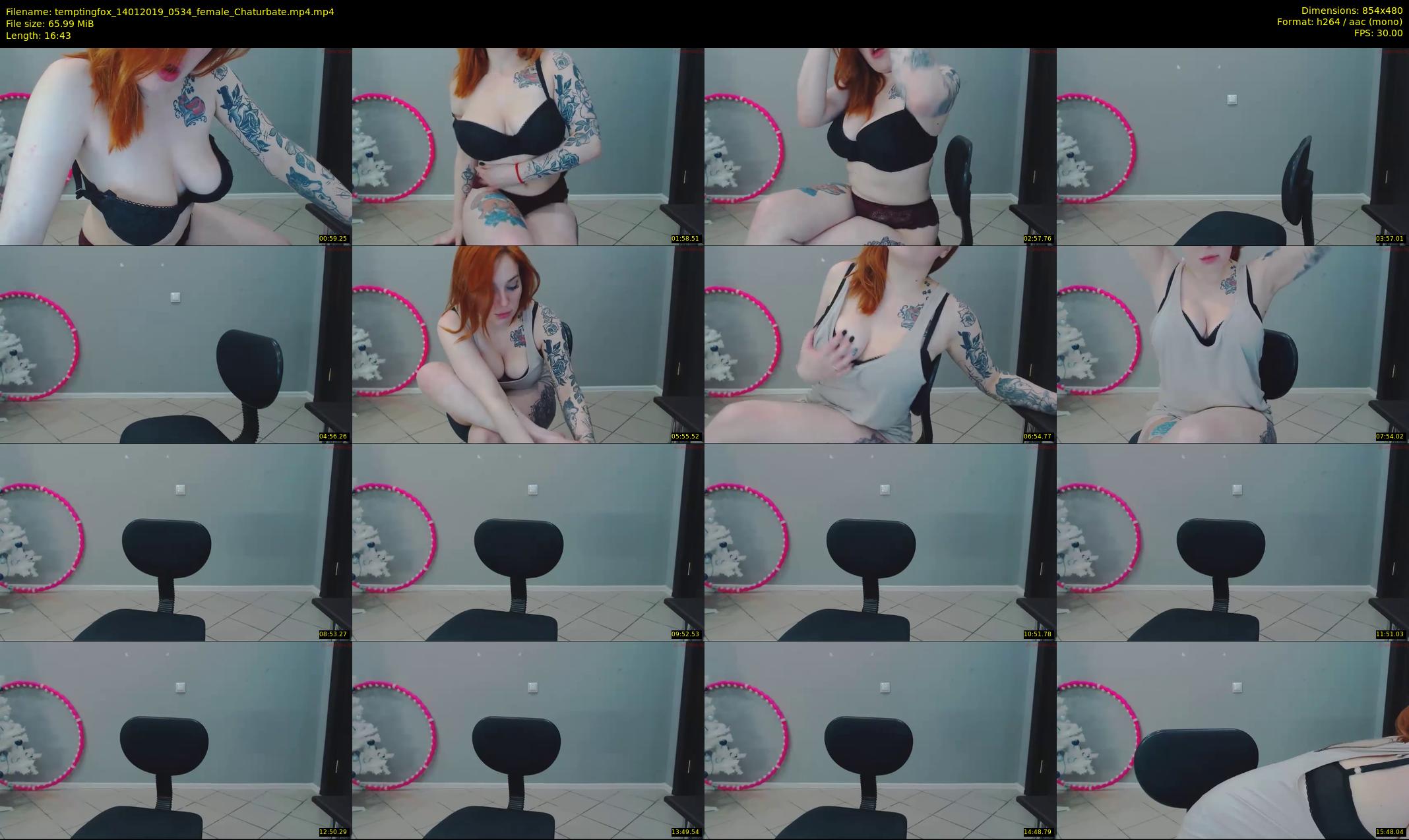 temptingfox — 17 minute Chaturbate female cam show recording, 480p, Jan 14, 2019