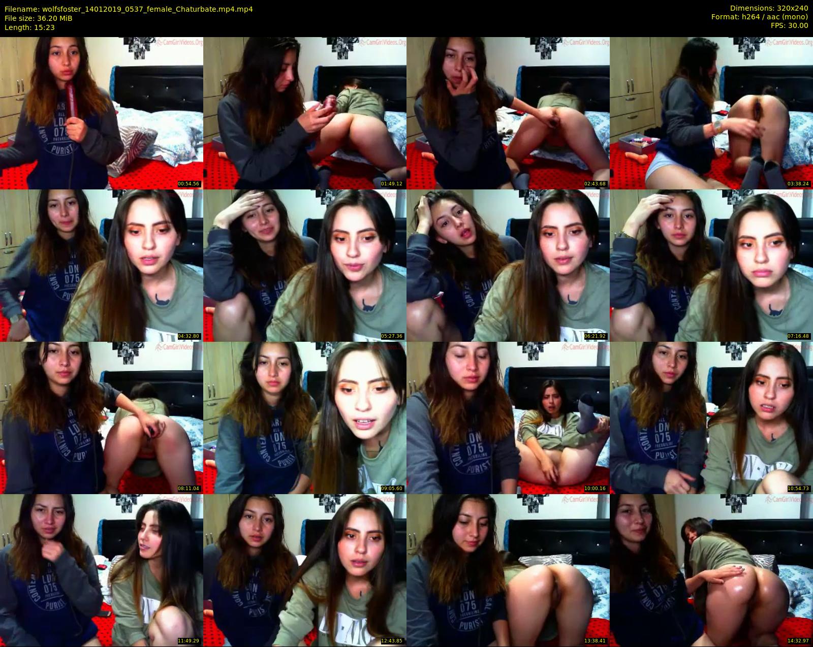 wolfsfoster — 16 minute Chaturbate couple cam show recording, SD, Jan 14, 2019