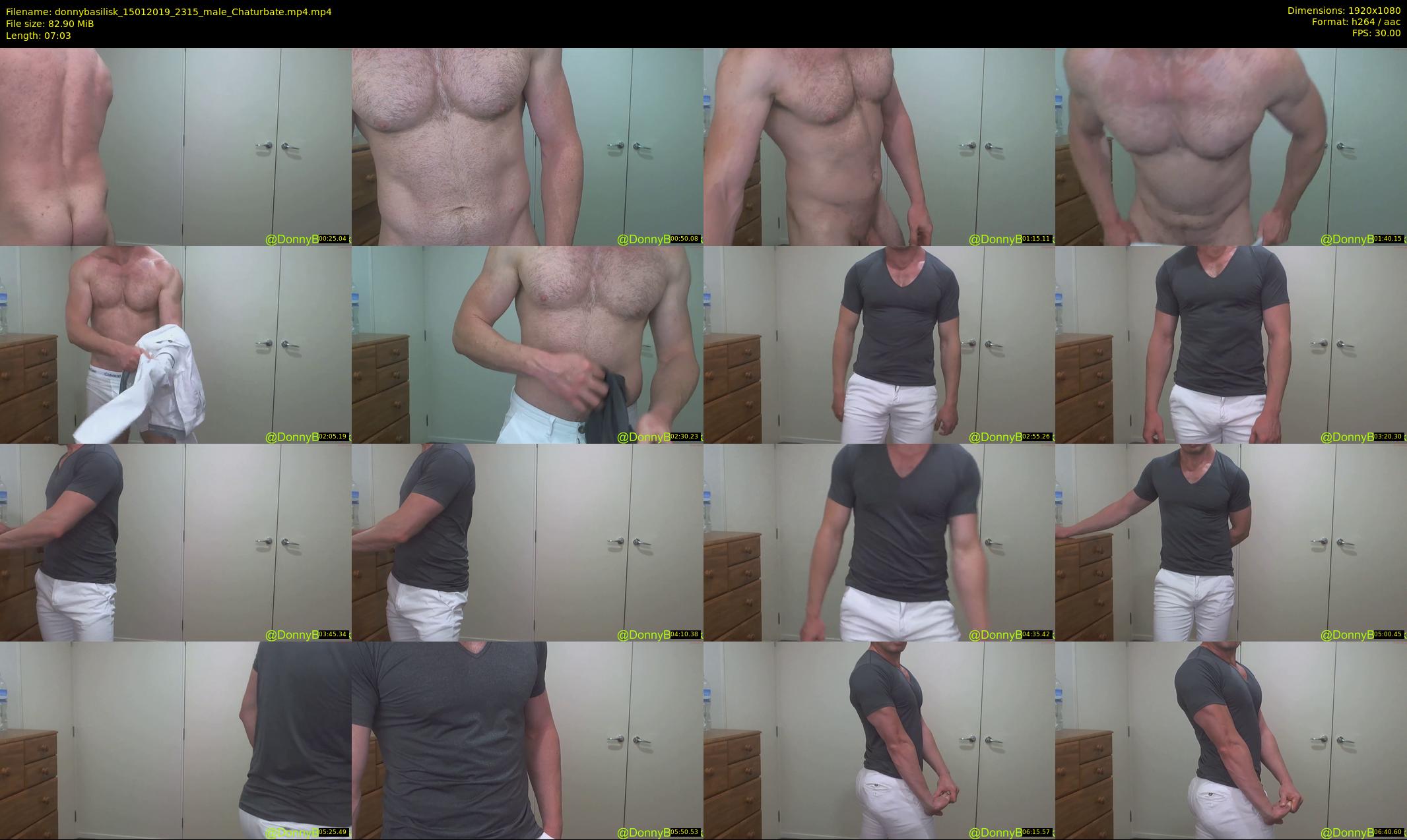 donnybasilisk — 8 minute Chaturbate male cam show recording, 1080p, Jan 15, 2019