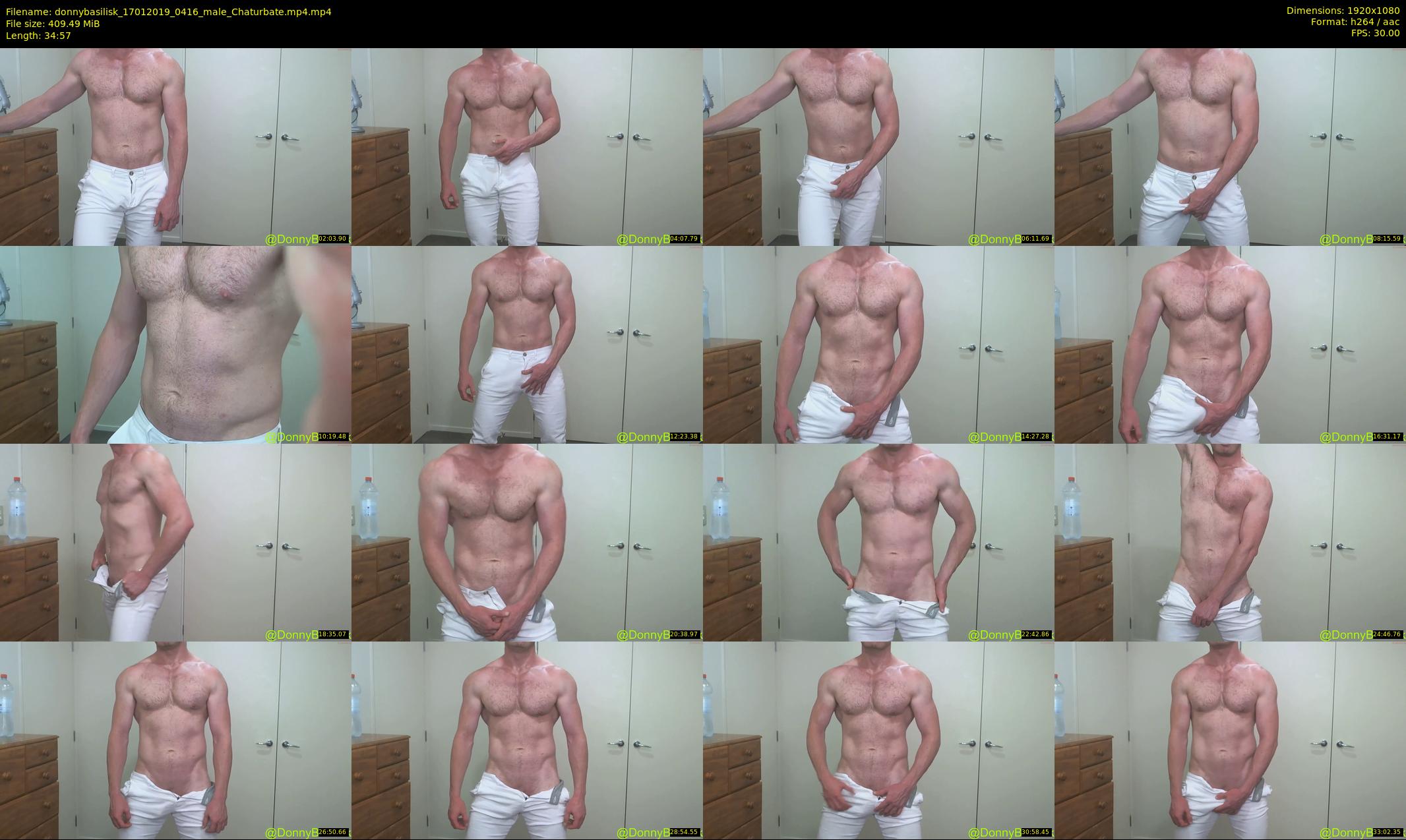 donnybasilisk — 35 minute Chaturbate male cam show recording, 1080p, Jan 17, 2019