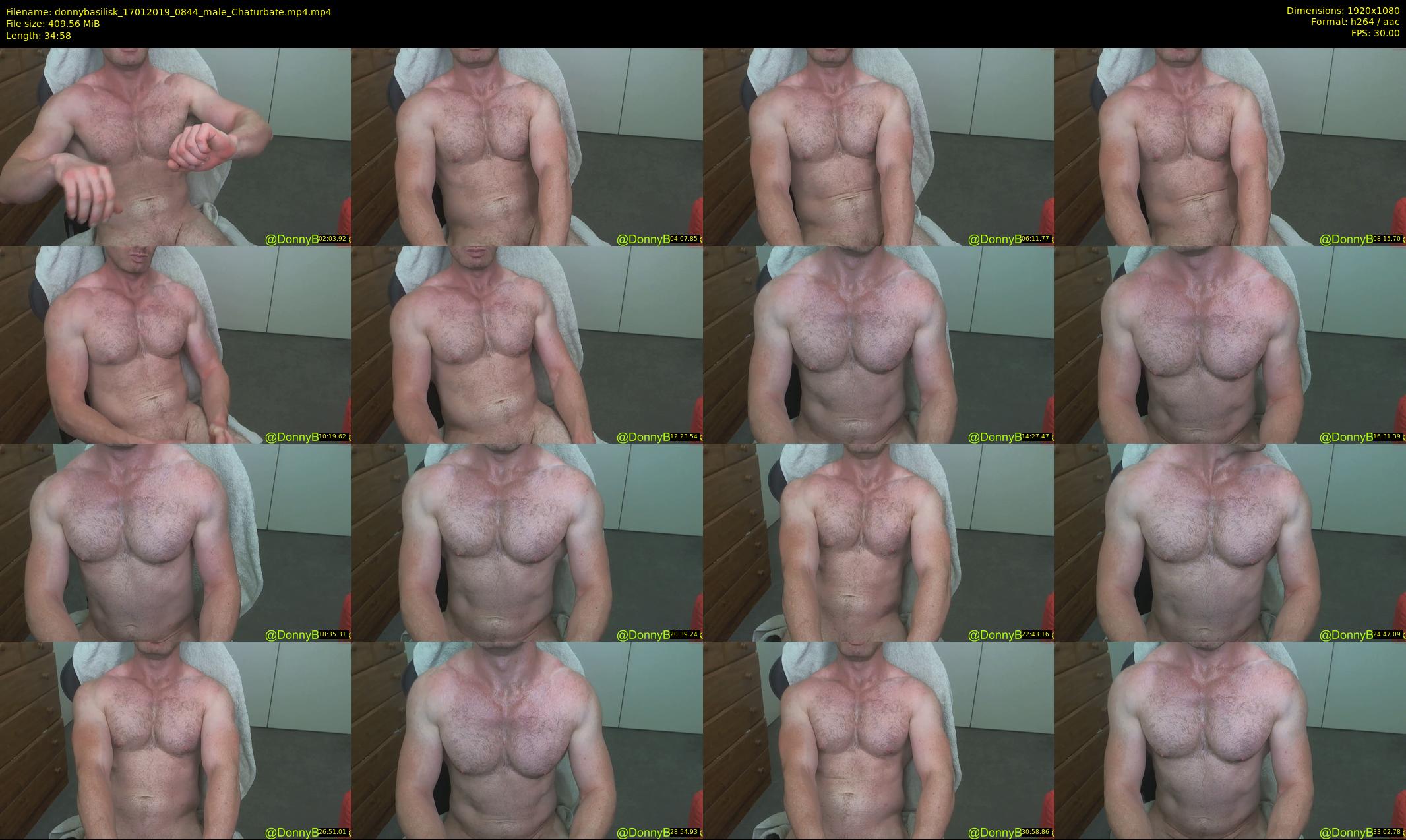 donnybasilisk — 35 minute Chaturbate male cam show recording, 1080p, Jan 17, 2019