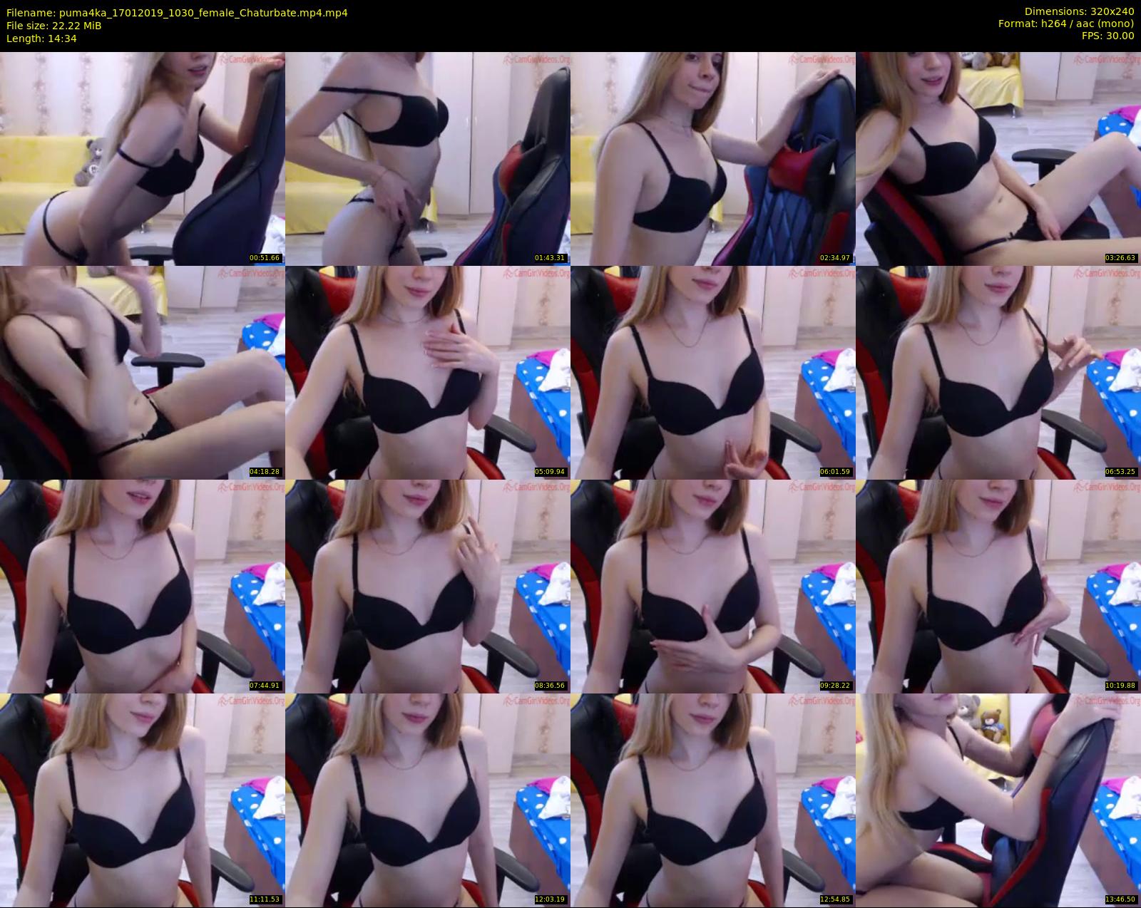 puma4ka — 15 minute Chaturbate female cam show recording, SD, Jan 17, 2019