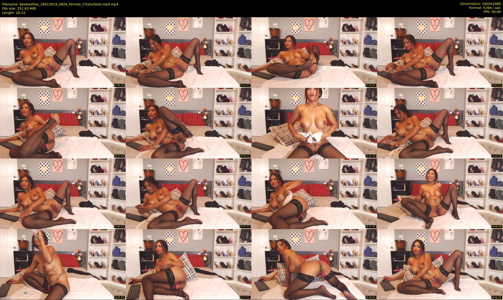 beebeethai — 29 minute Chaturbate female cam show recording, 1080p, Jan 18, 2019