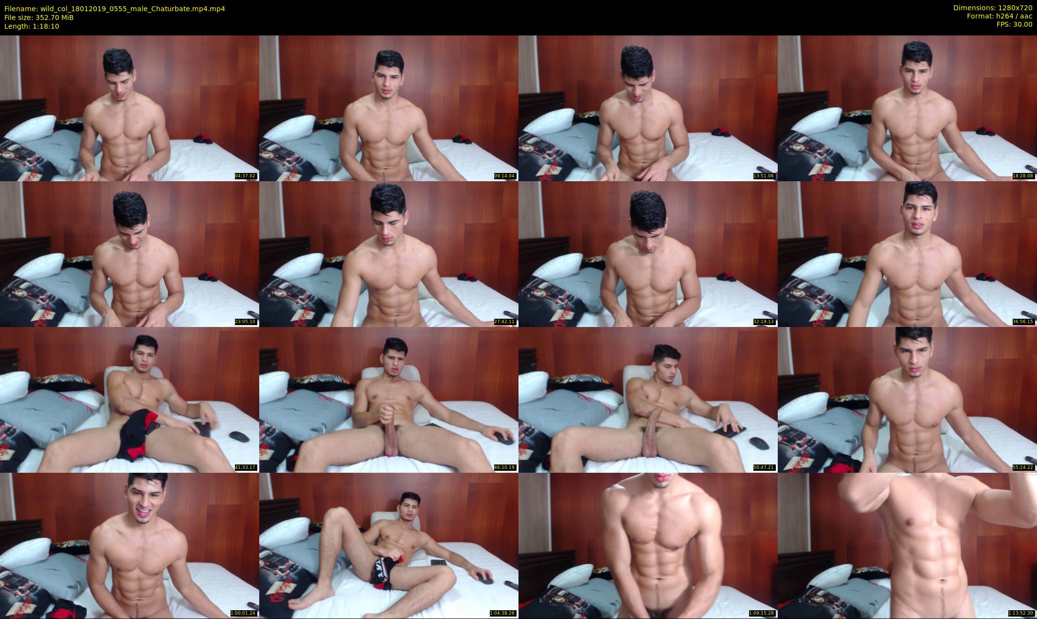 wild_col — 79 minute Chaturbate male cam show recording, 720p, Jan 18, 2019