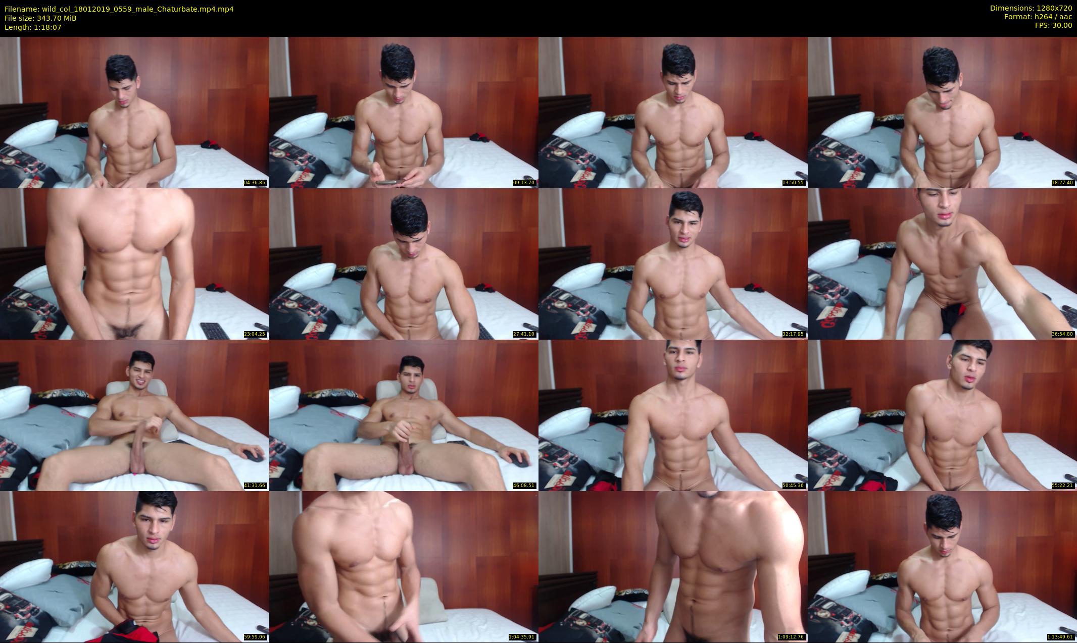 wild_col — 79 minute Chaturbate male cam show recording, 720p, Jan 18, 2019