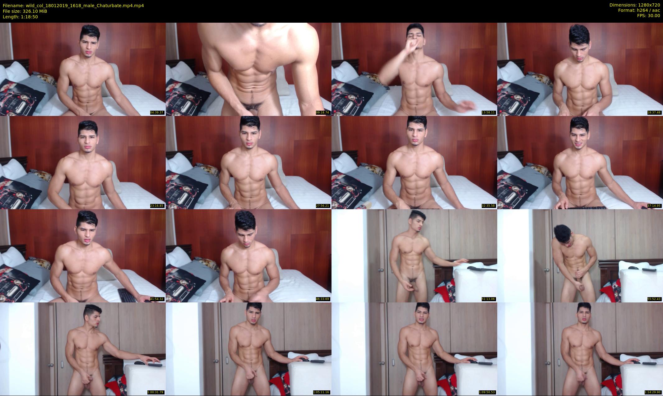 wild_col — 79 minute Chaturbate male cam show recording, 720p, Jan 18, 2019