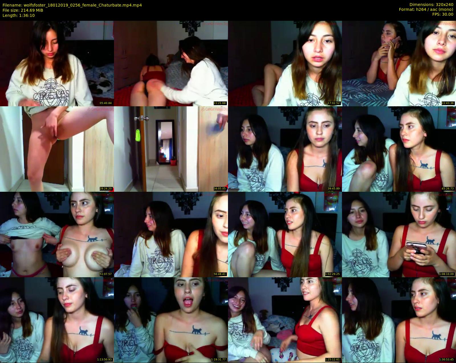 wolfsfoster — 97 minute Chaturbate couple cam show recording, SD, Jan 18, 2019