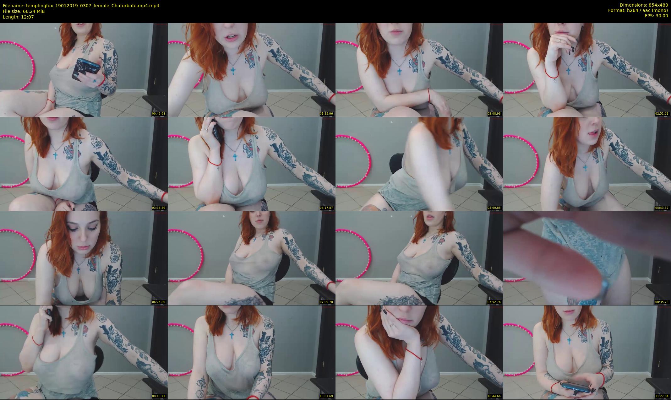 temptingfox — 13 minute Chaturbate female cam show recording, 480p, Jan 19, 2019