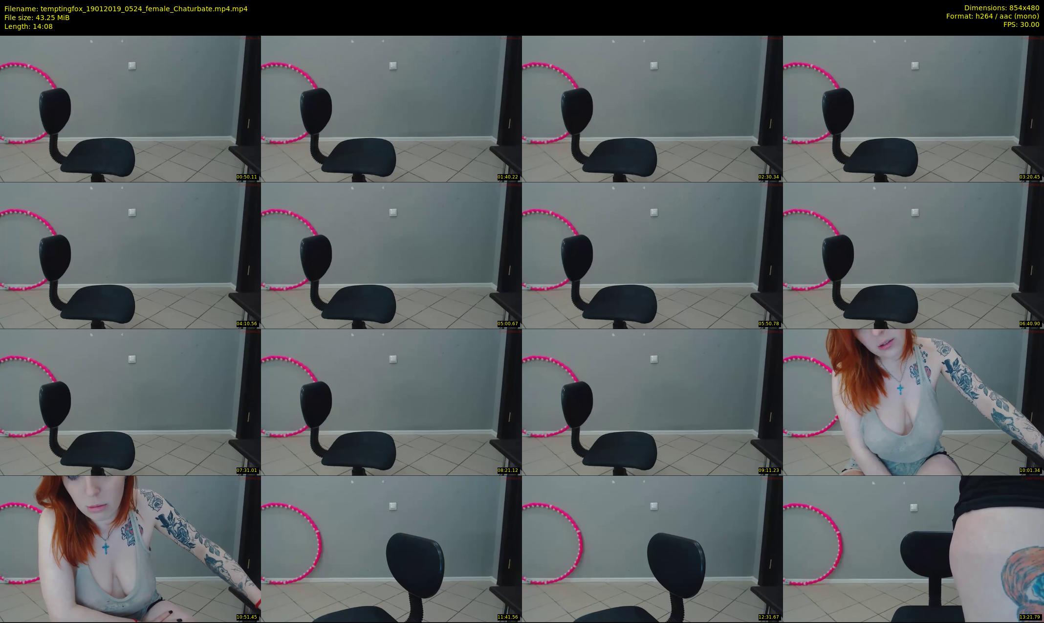 temptingfox — 15 minute Chaturbate female cam show recording, 480p, Jan 19, 2019