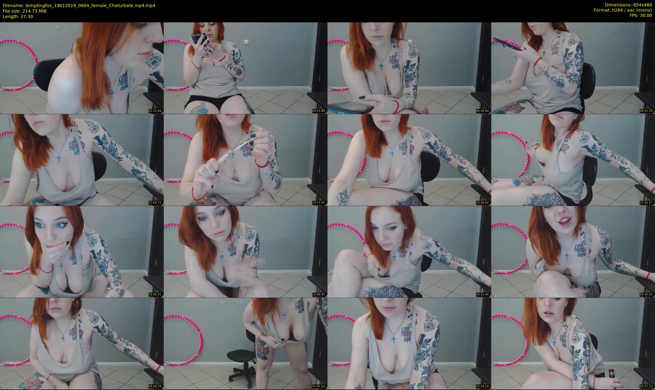 temptingfox — 38 minute Chaturbate female cam show recording, 480p, Jan 19, 2019