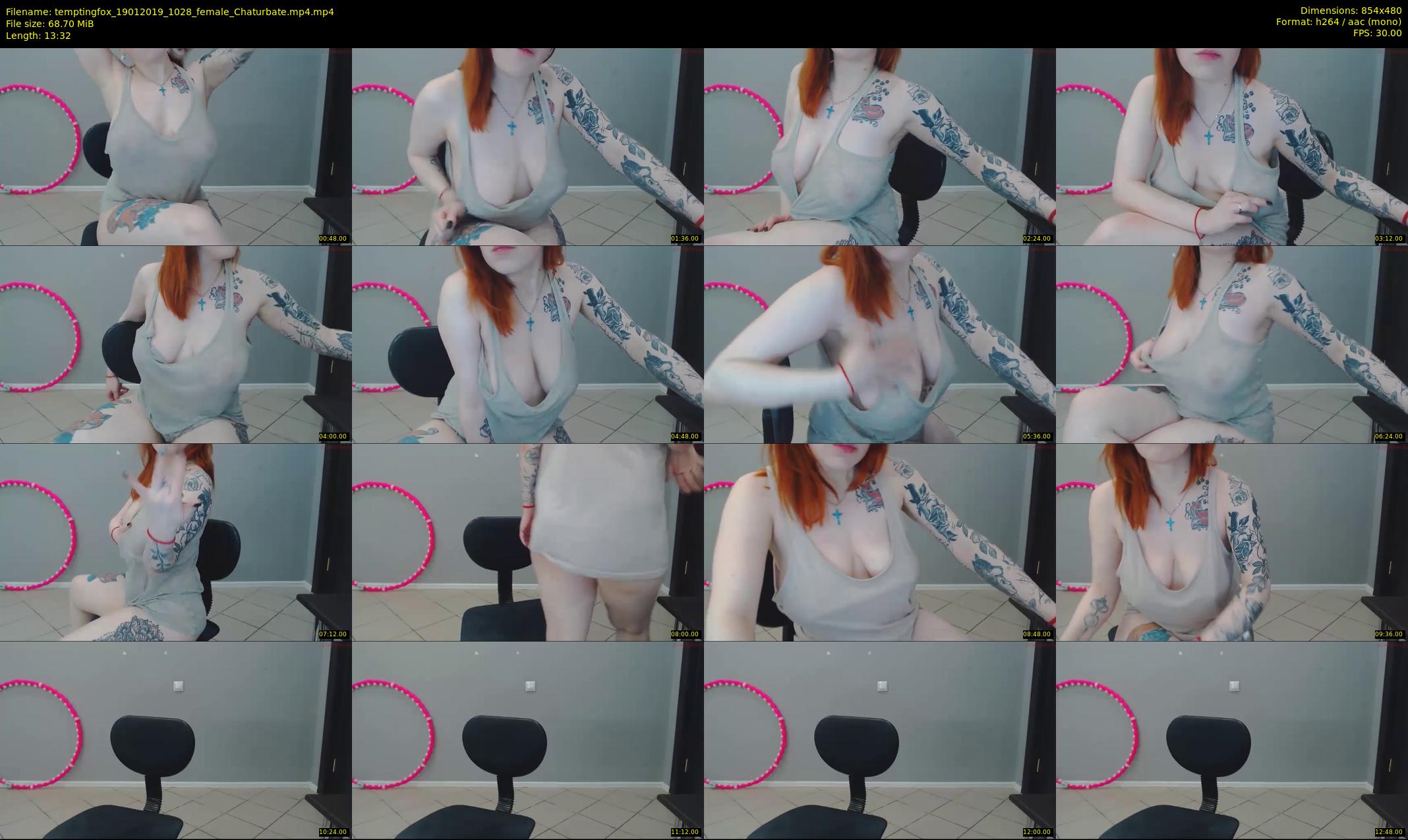 temptingfox — 14 minute Chaturbate female cam show recording, 480p, Jan 19, 2019