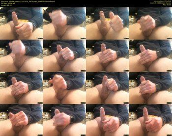 iowafarmcock — 21 minute Chaturbate male cam show recording, SD, Jan 21, 2019